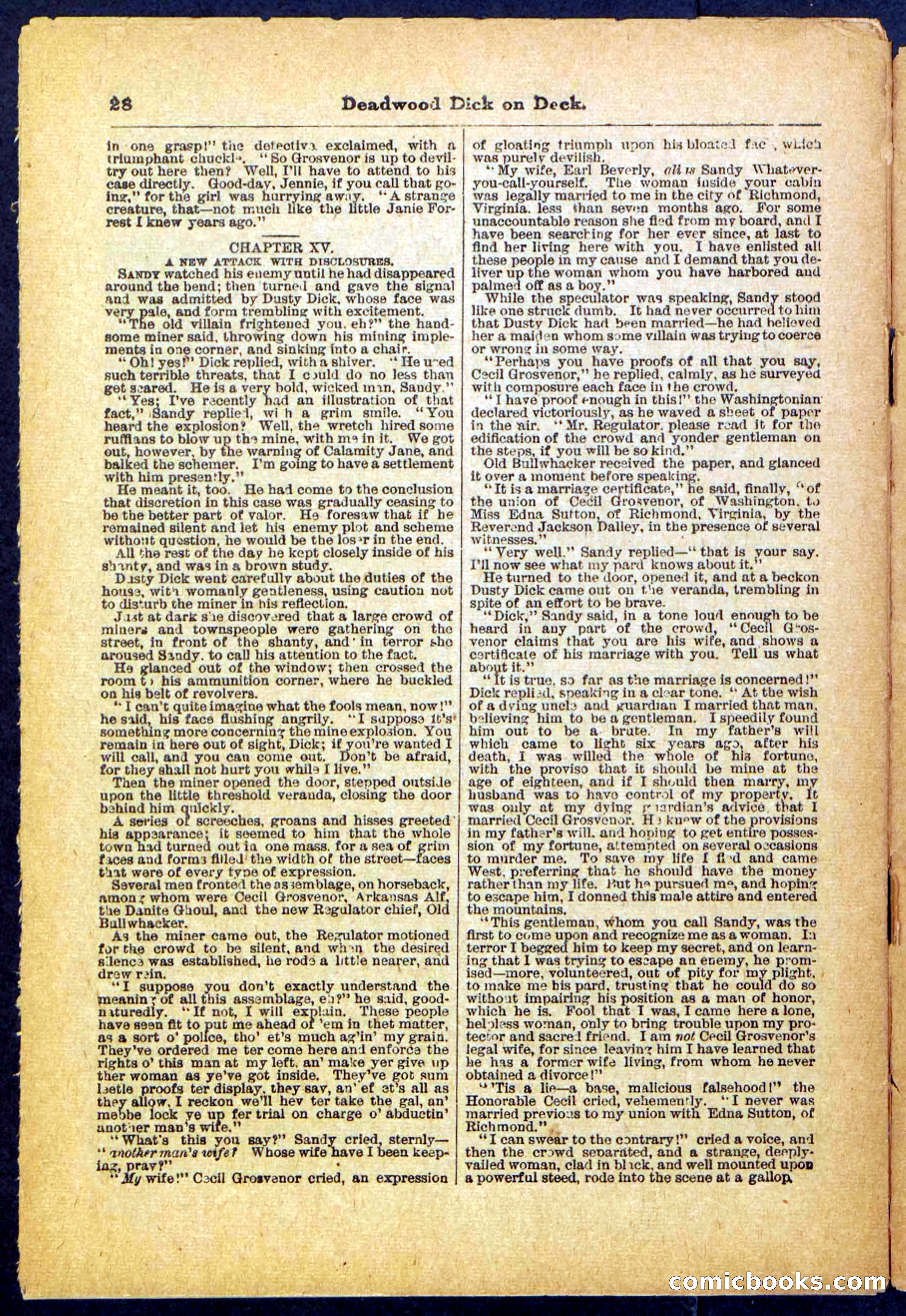 Beadle's Pocket Library, No. 57 — page 28 of 32
