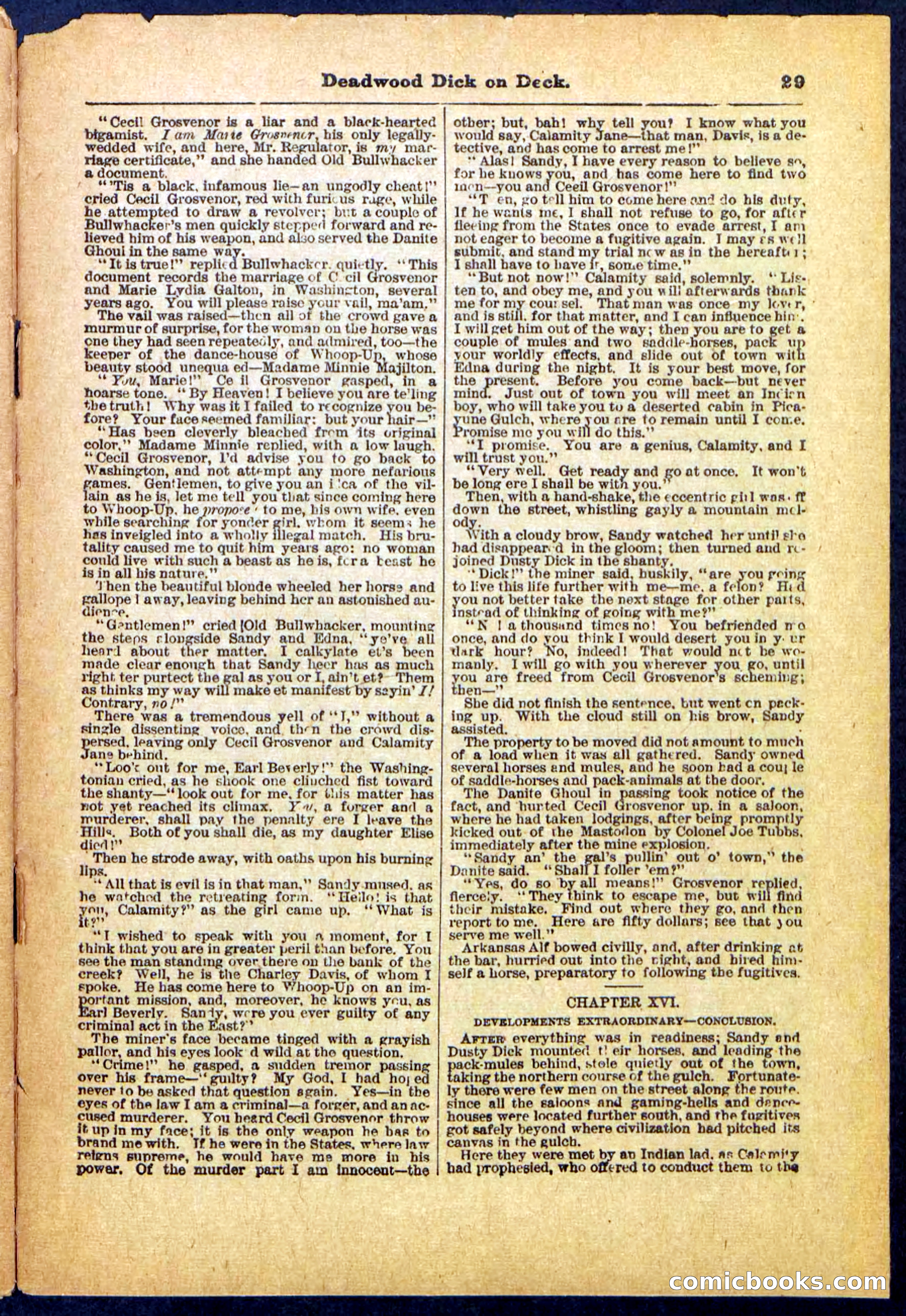 Beadle's Pocket Library, No. 57 — page 29 of 32