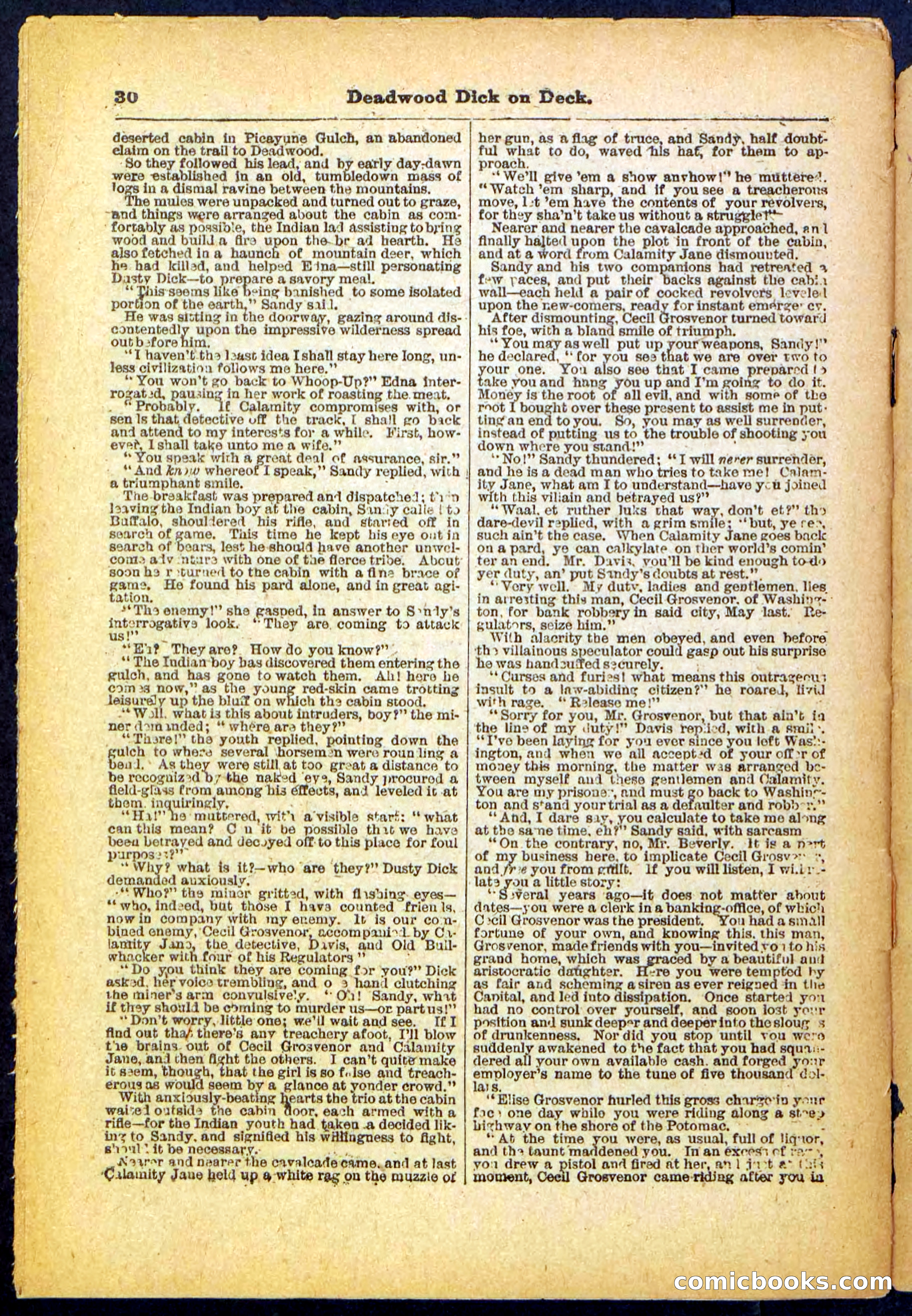 Beadle's Pocket Library, No. 57 — page 30 of 32