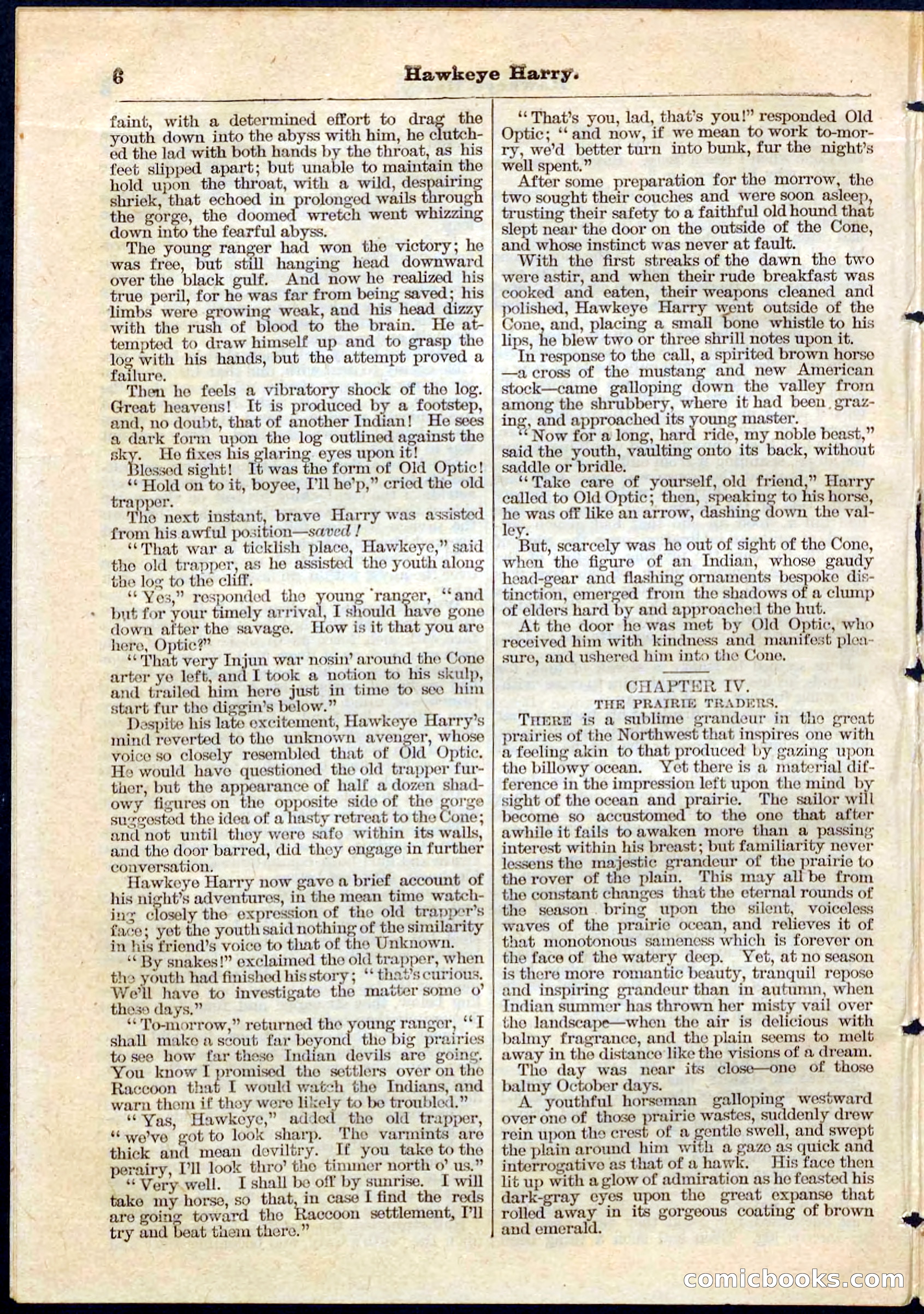 Beadle's Pocket Library No. 53 — page 6 of 32