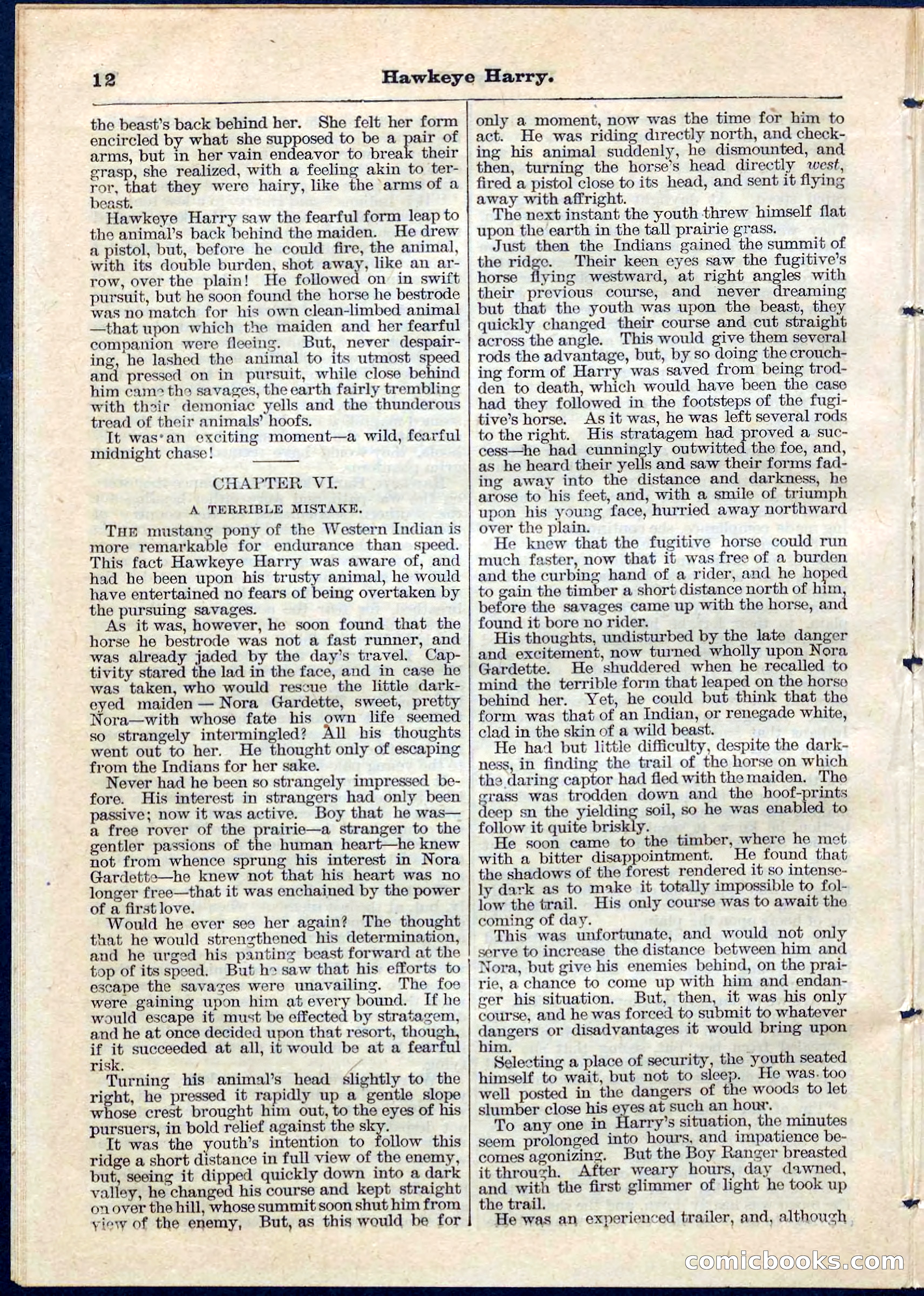 Beadle's Pocket Library No. 53 — page 12 of 32