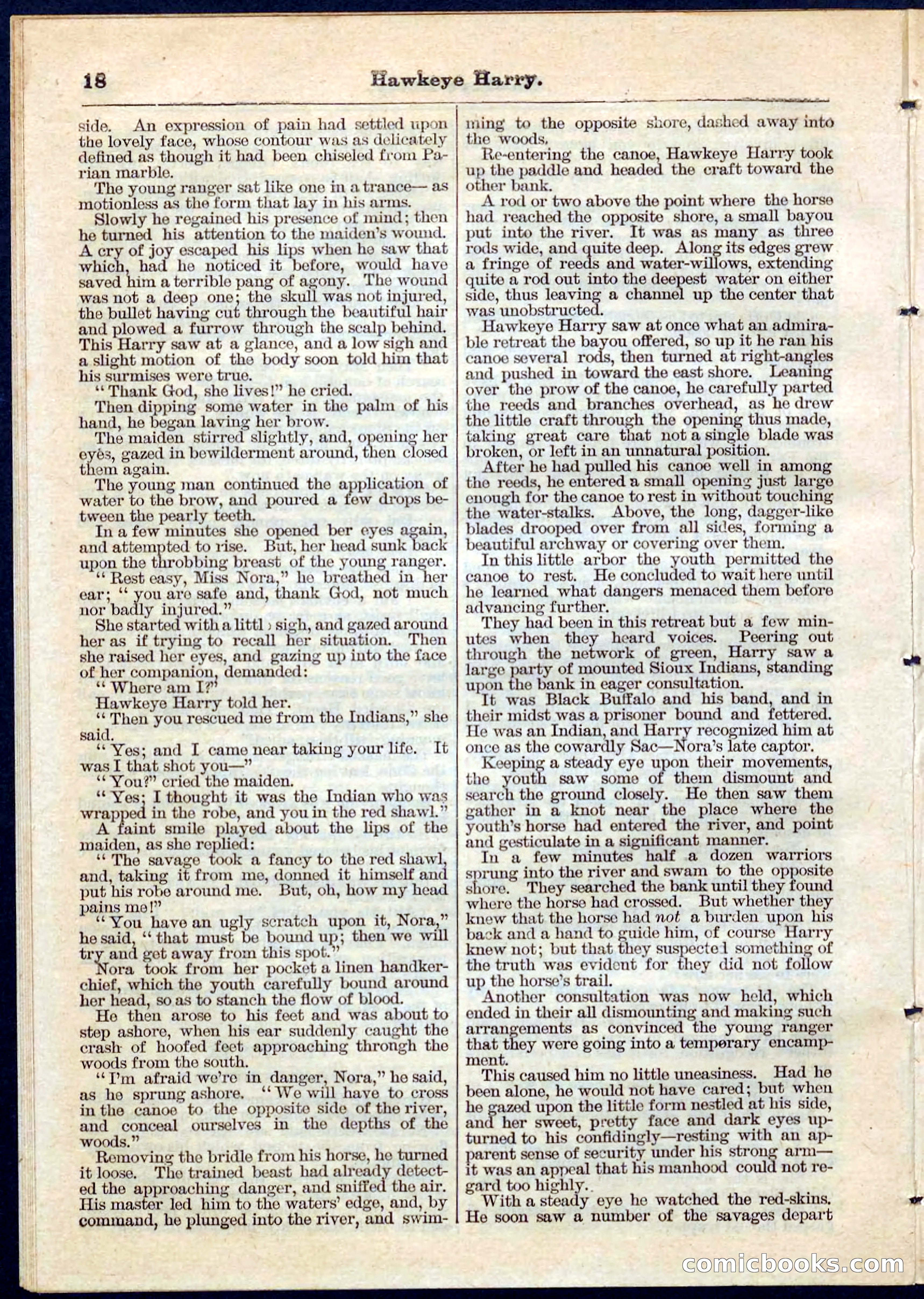 Beadle's Pocket Library No. 53 — page 18 of 32