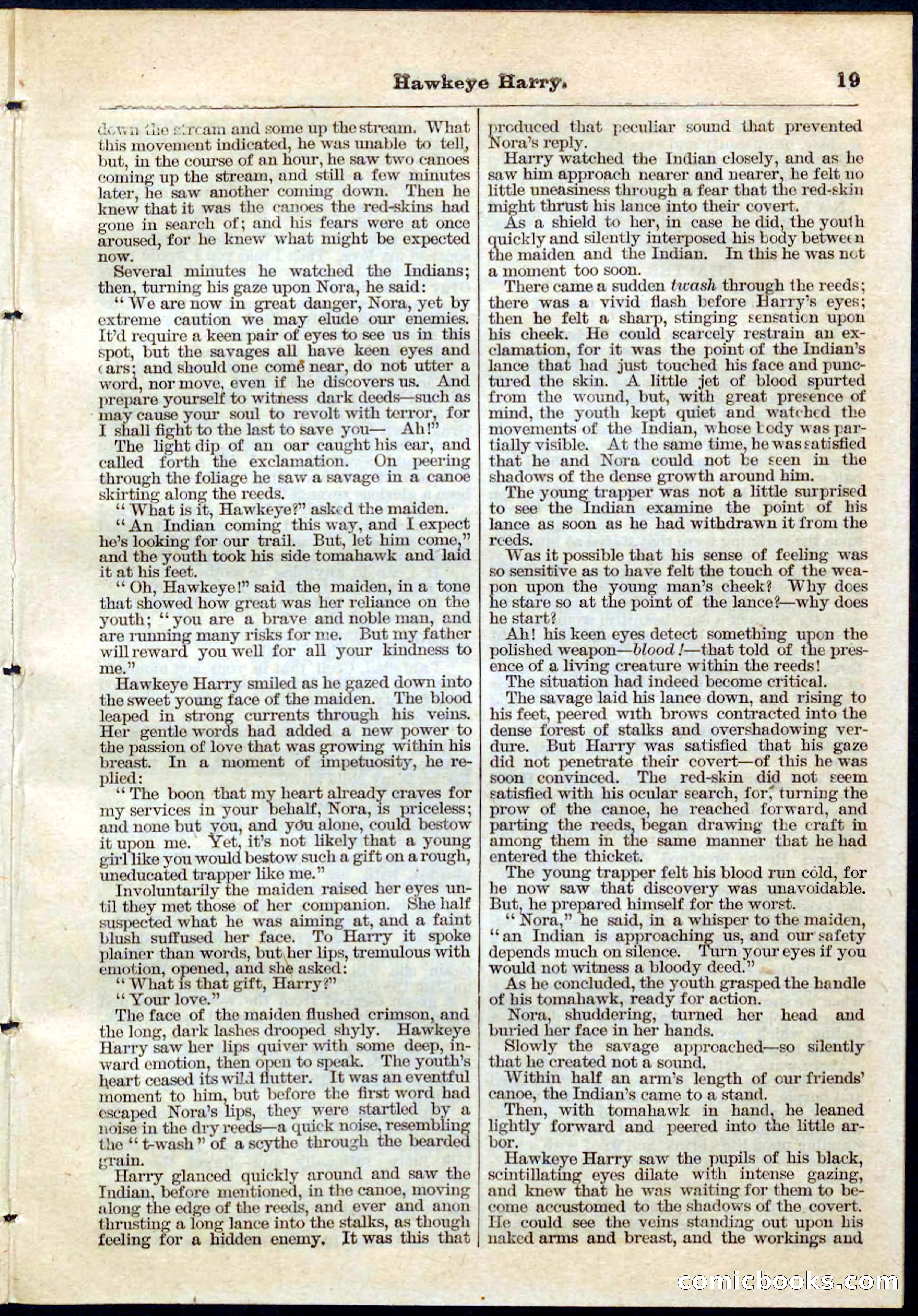 Beadle's Pocket Library No. 53 — page 19 of 32