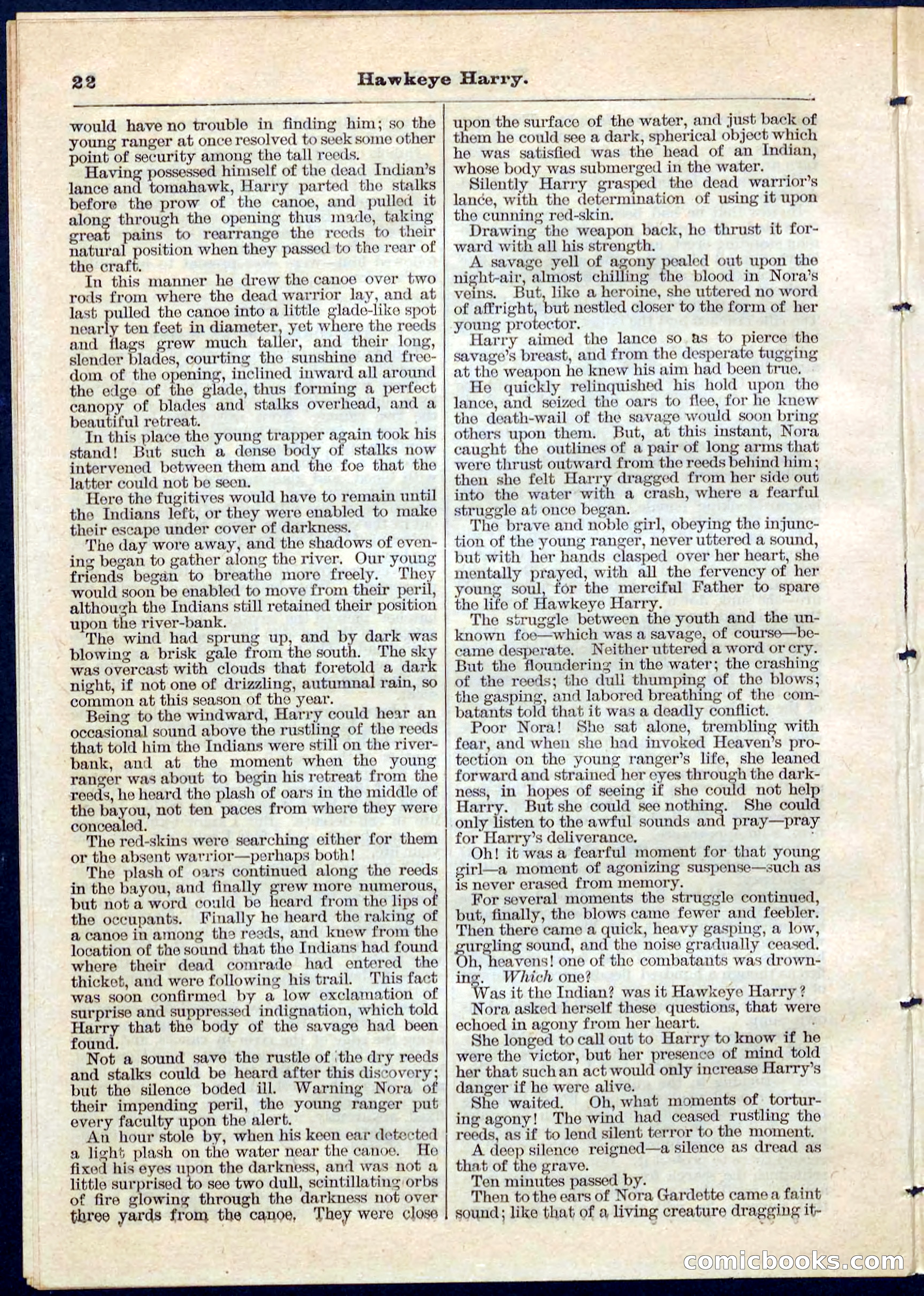 Beadle's Pocket Library No. 53 — page 22 of 32