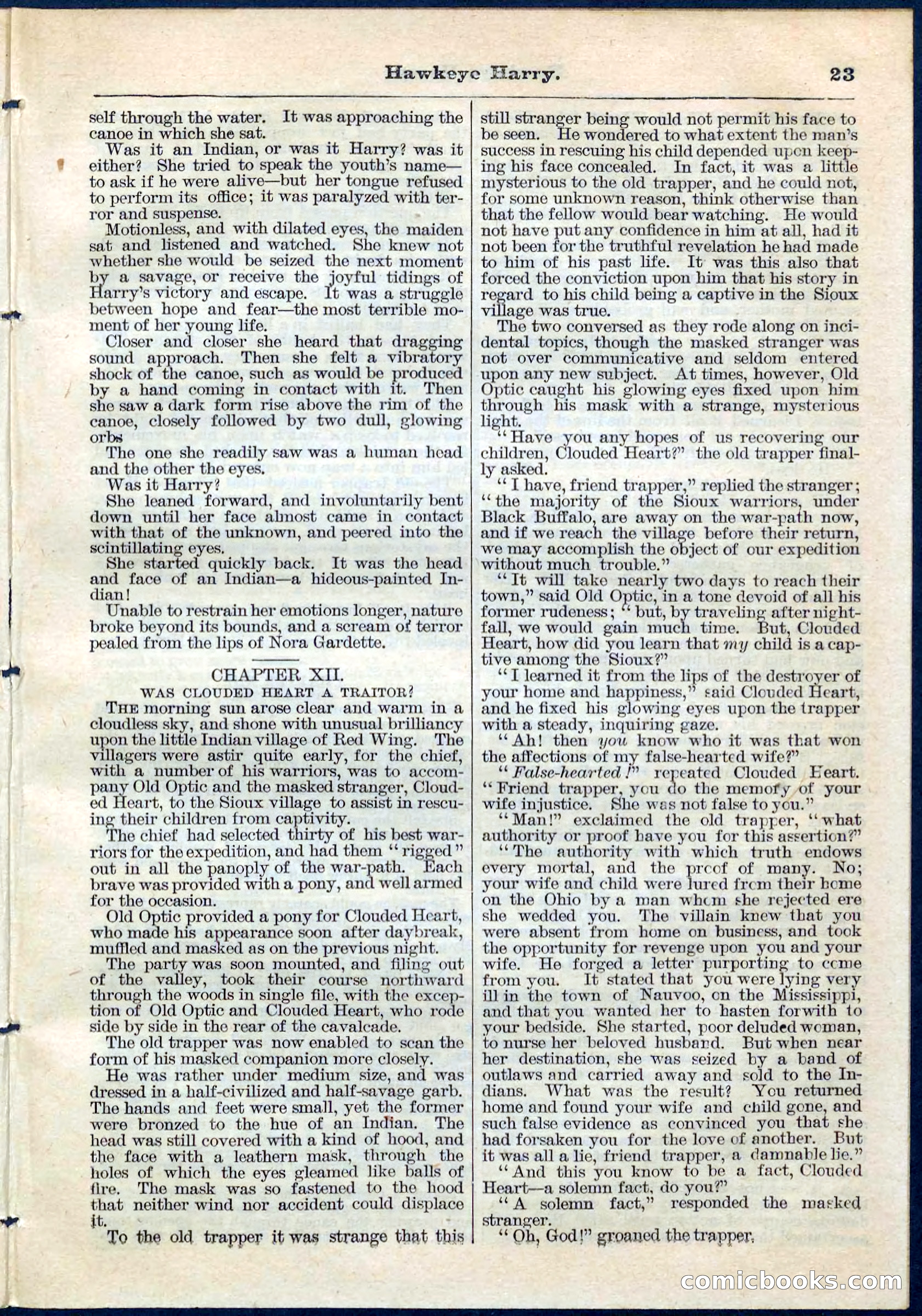 Beadle's Pocket Library No. 53 — page 23 of 32