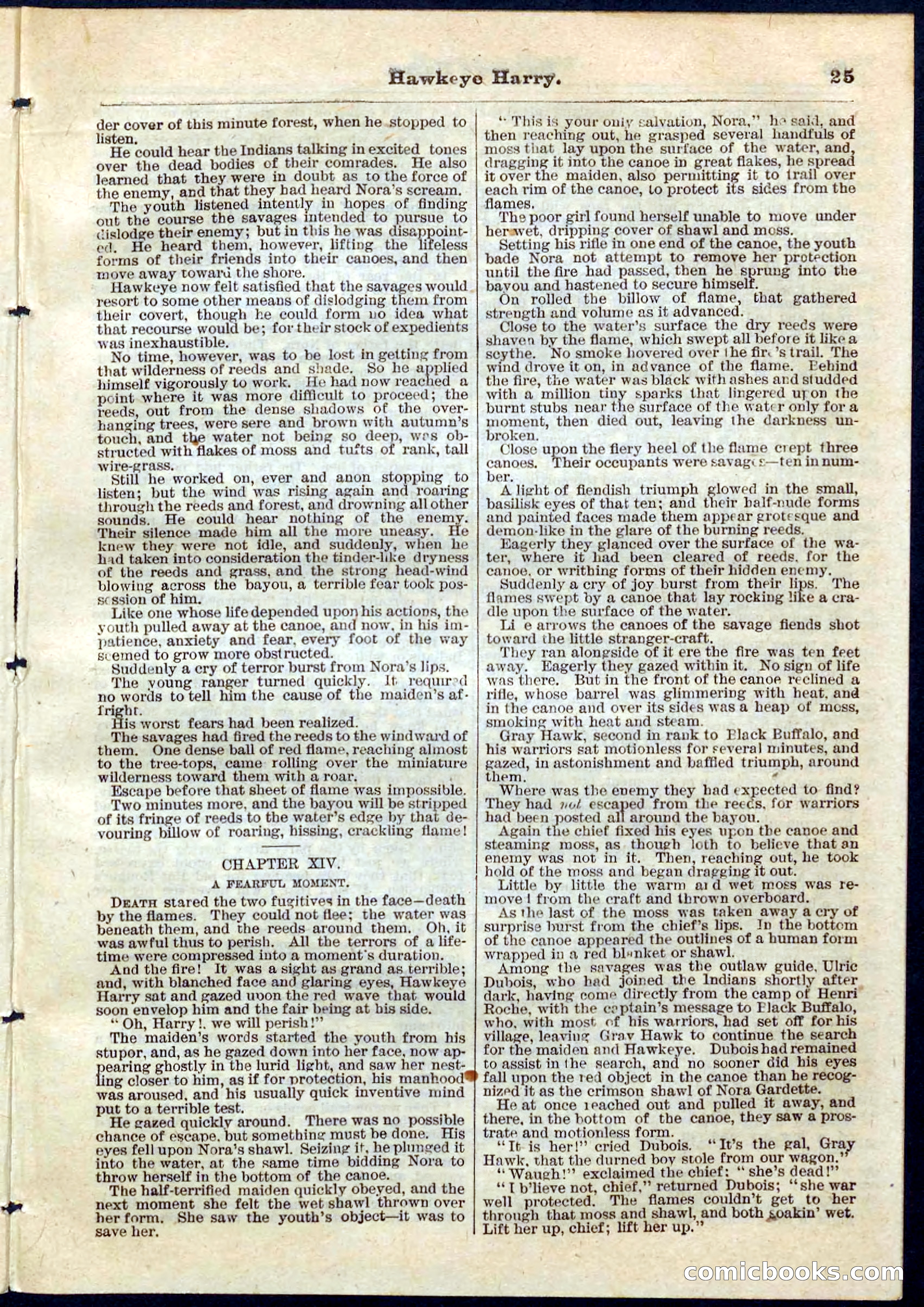 Beadle's Pocket Library No. 53 — page 25 of 32
