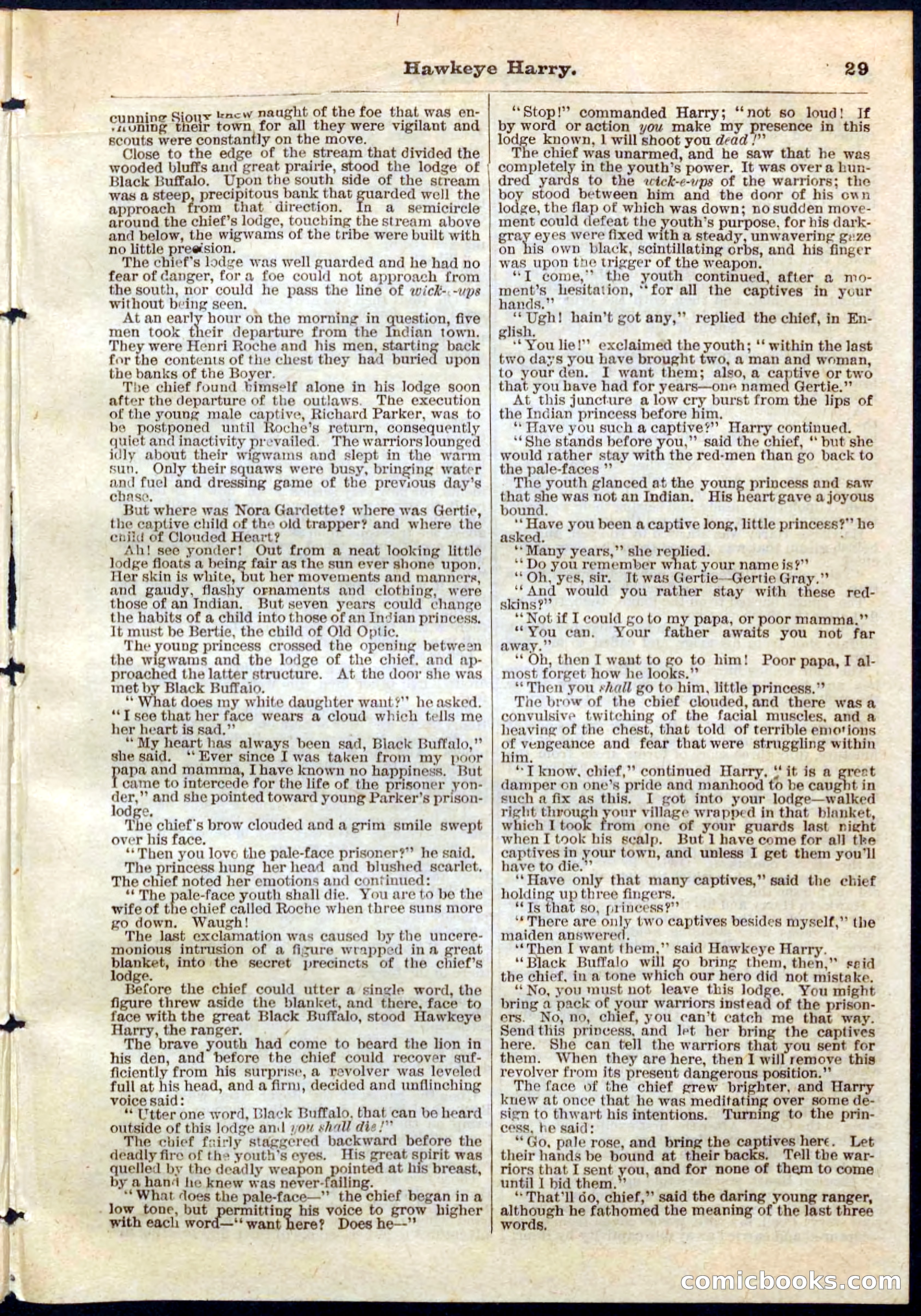 Beadle's Pocket Library No. 53 — page 29 of 32