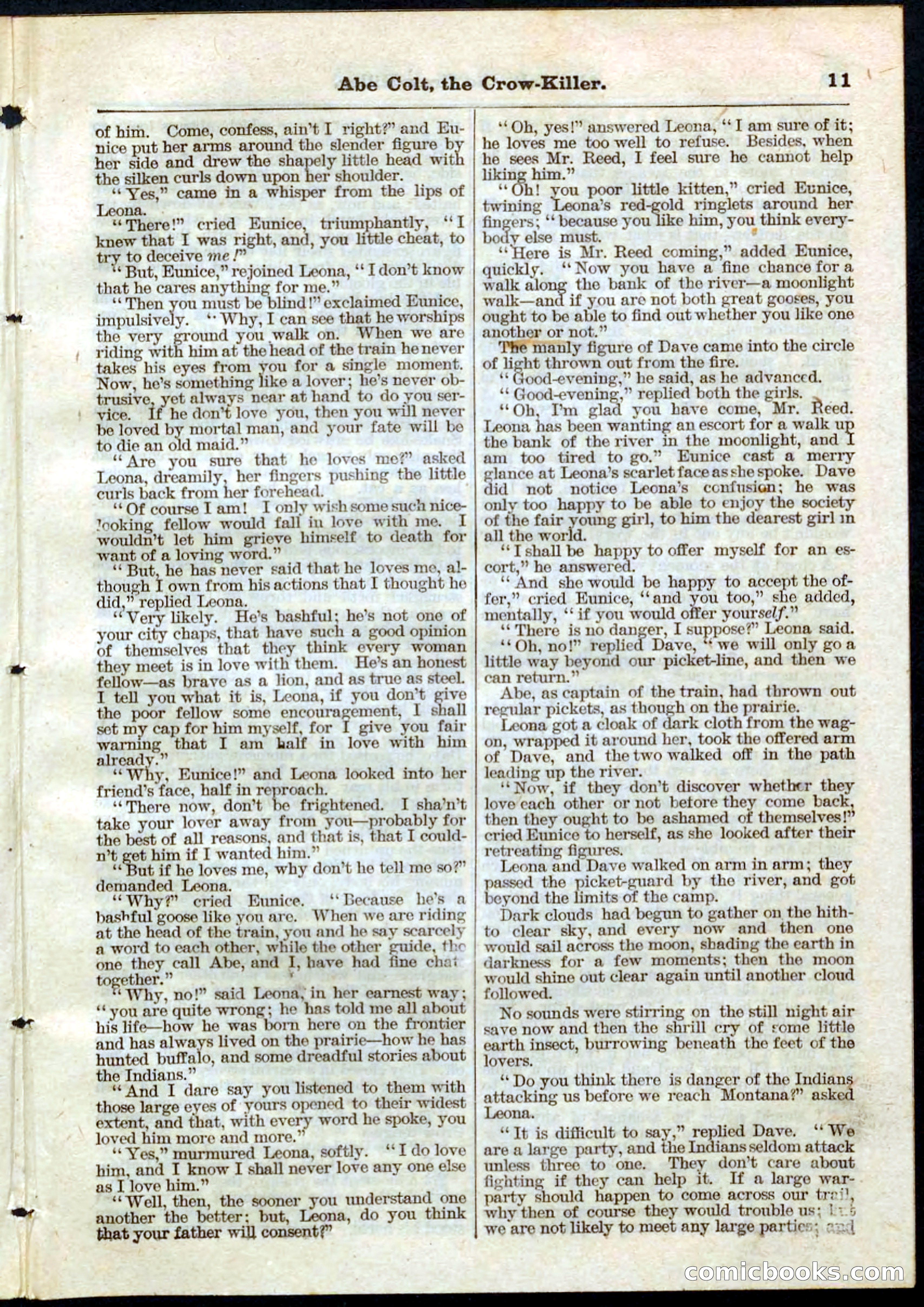 Beadle's Pocket Library No. 60 — page 11 of 32