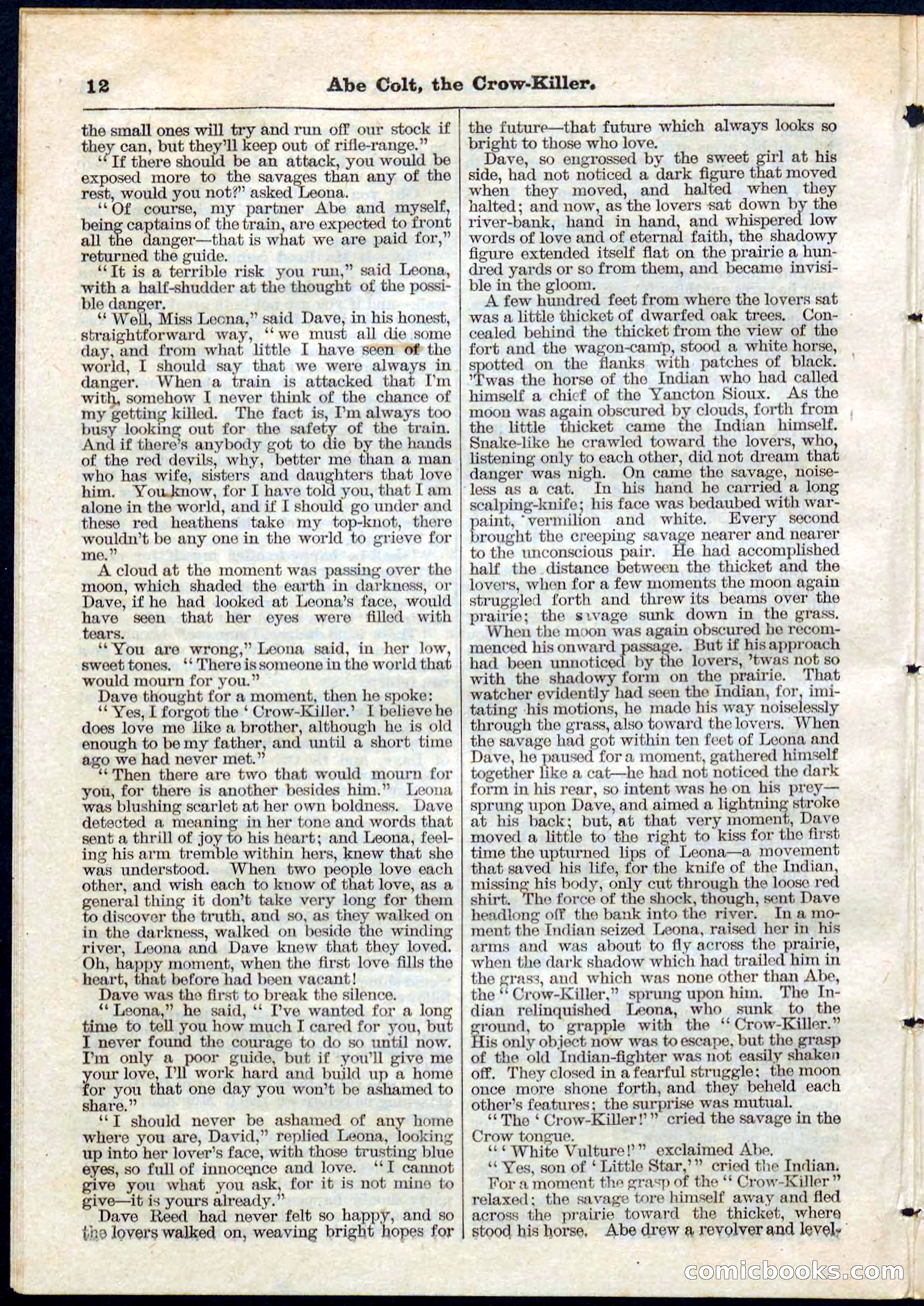 Beadle's Pocket Library No. 60 — page 12 of 32