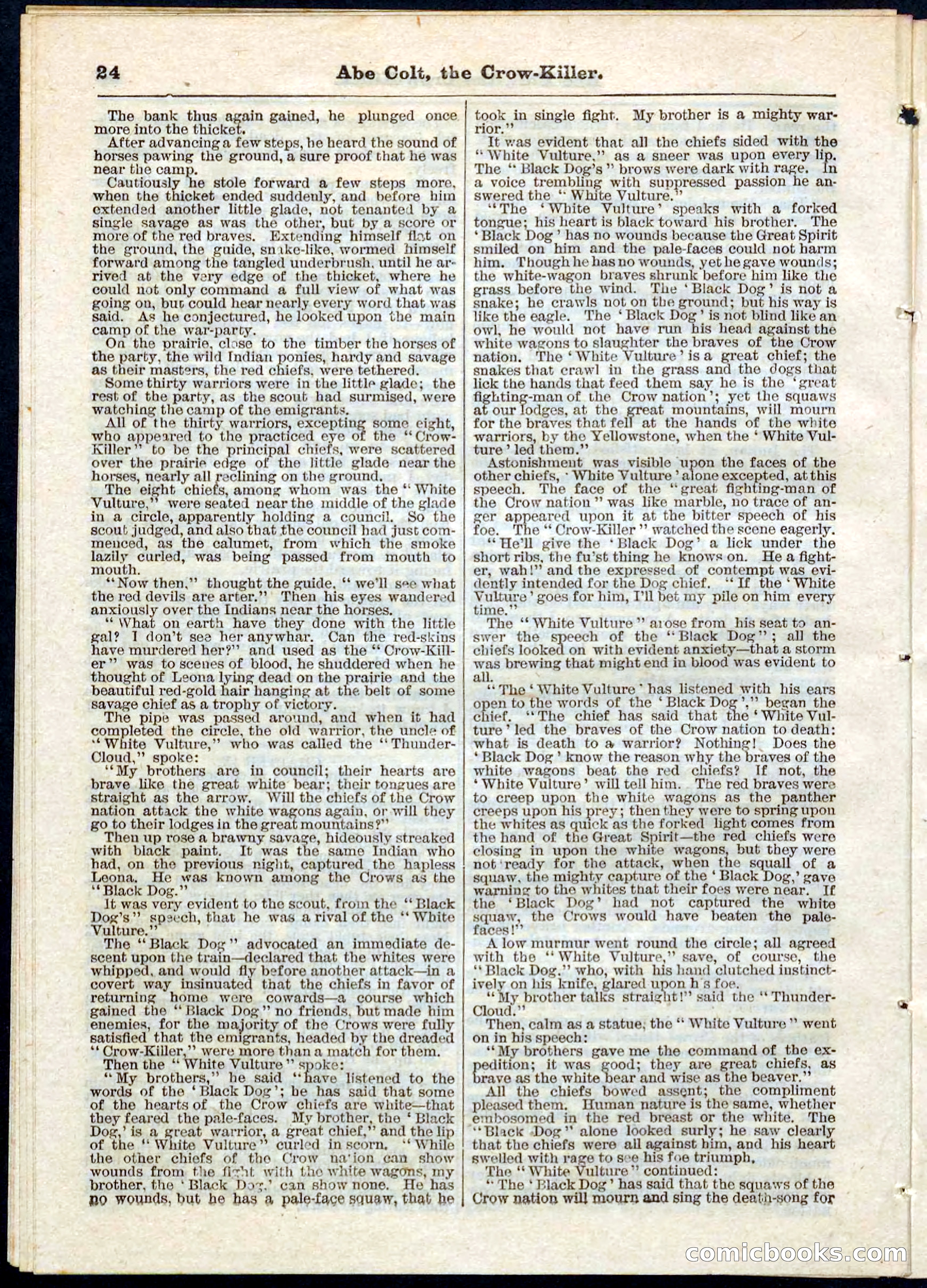 Beadle's Pocket Library No. 60 — page 24 of 32