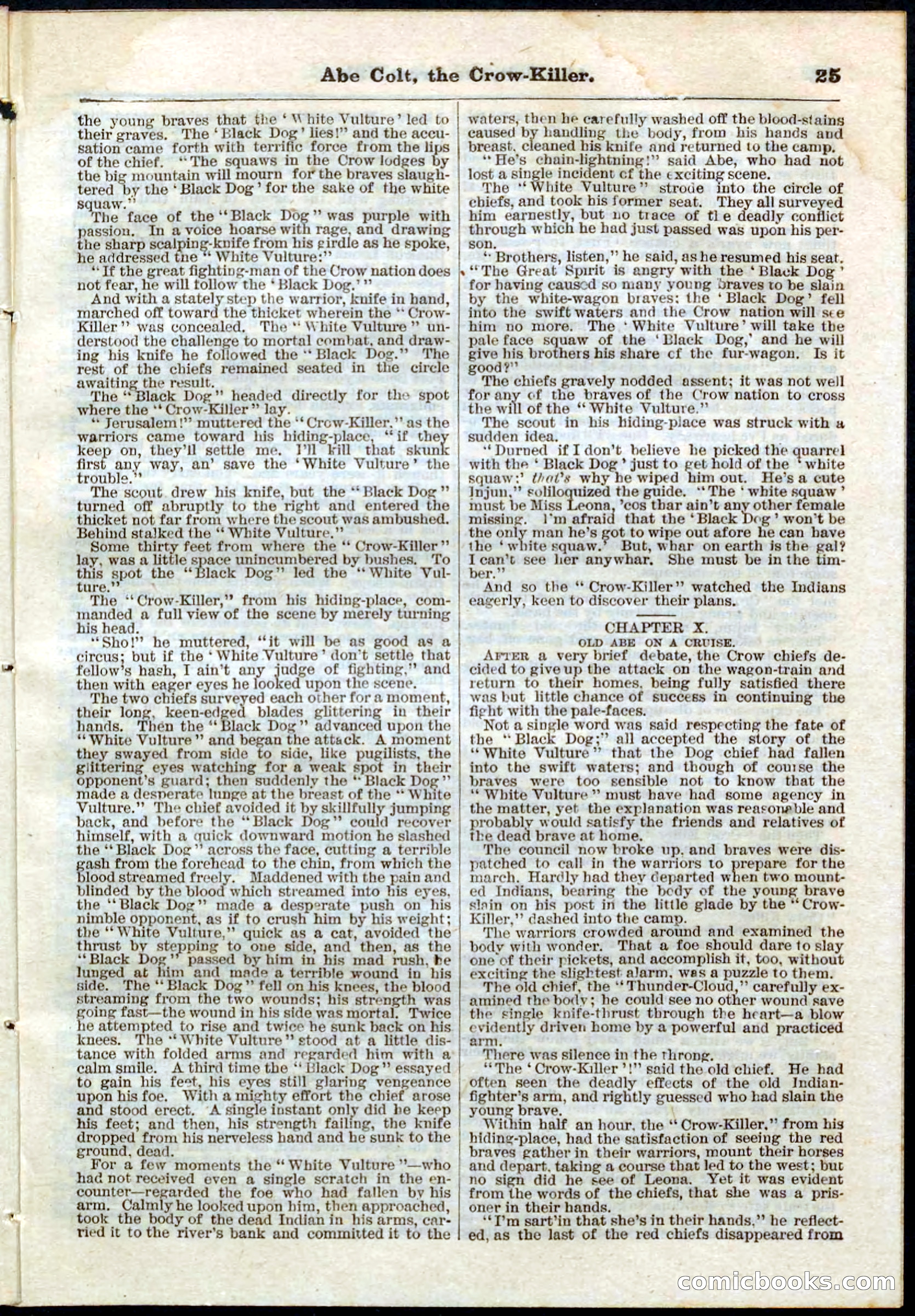 Beadle's Pocket Library No. 60 — page 25 of 32