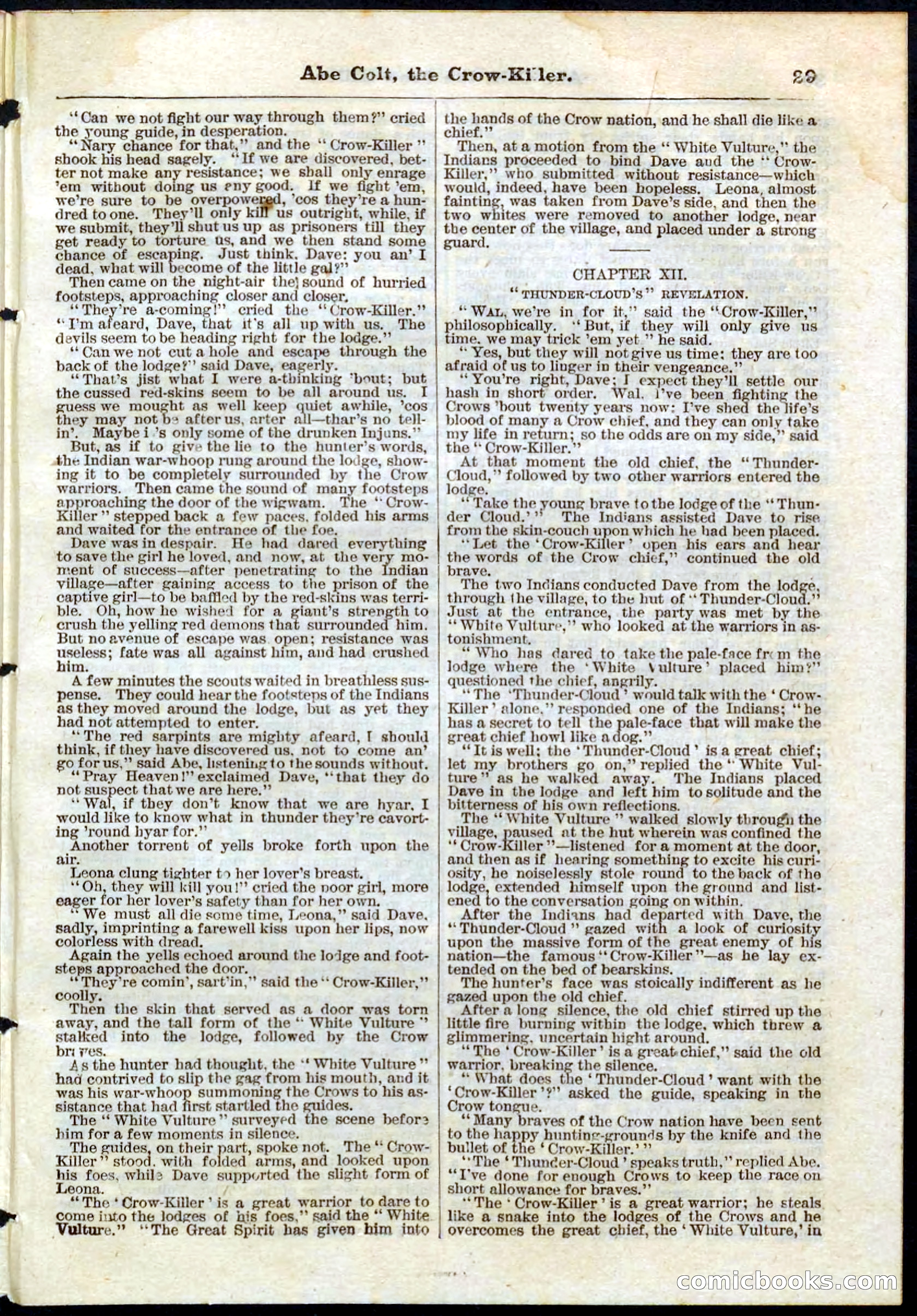 Beadle's Pocket Library No. 60 — page 29 of 32