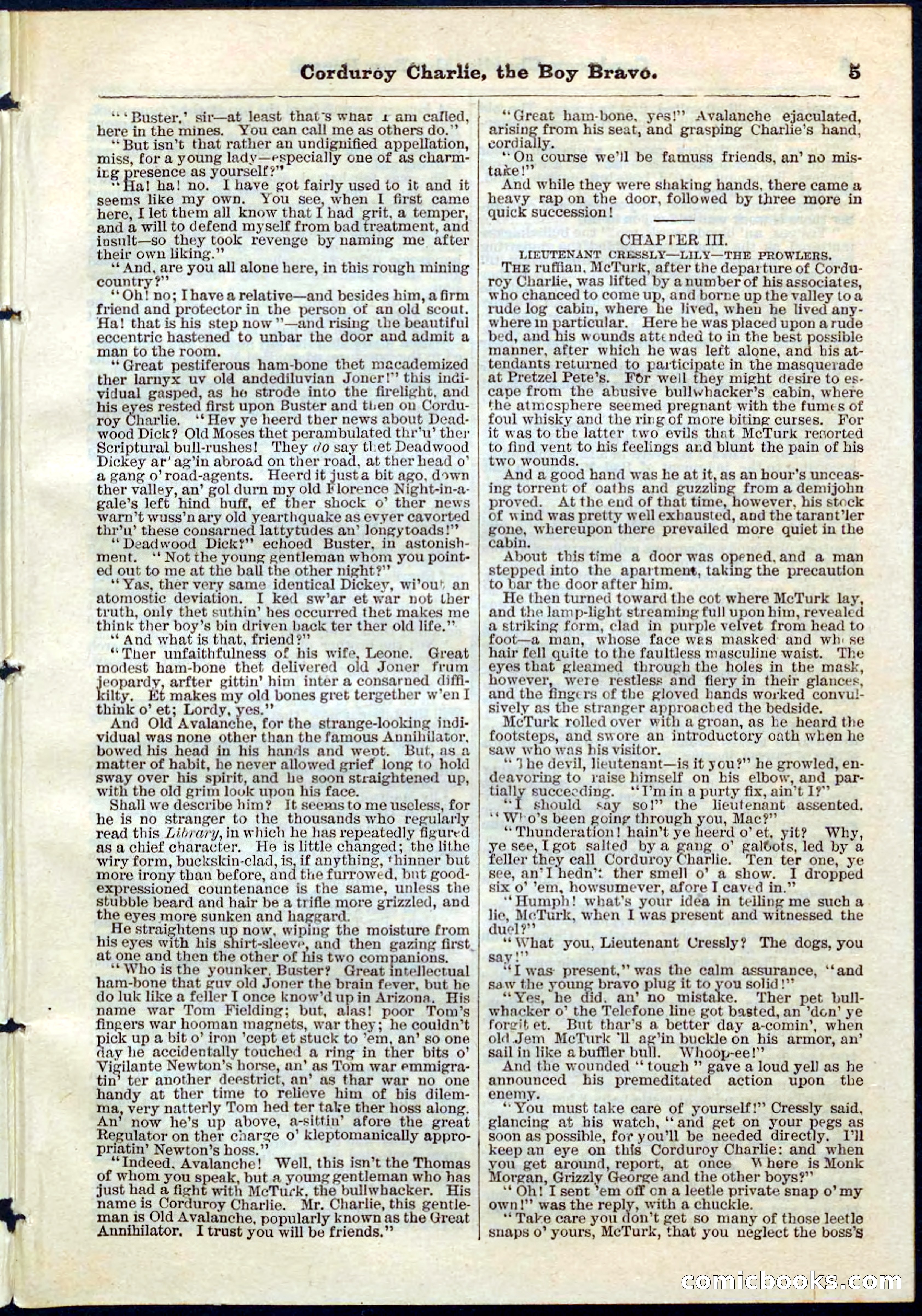 Beadle's Pocket Library No. 61 — page 5 of 32