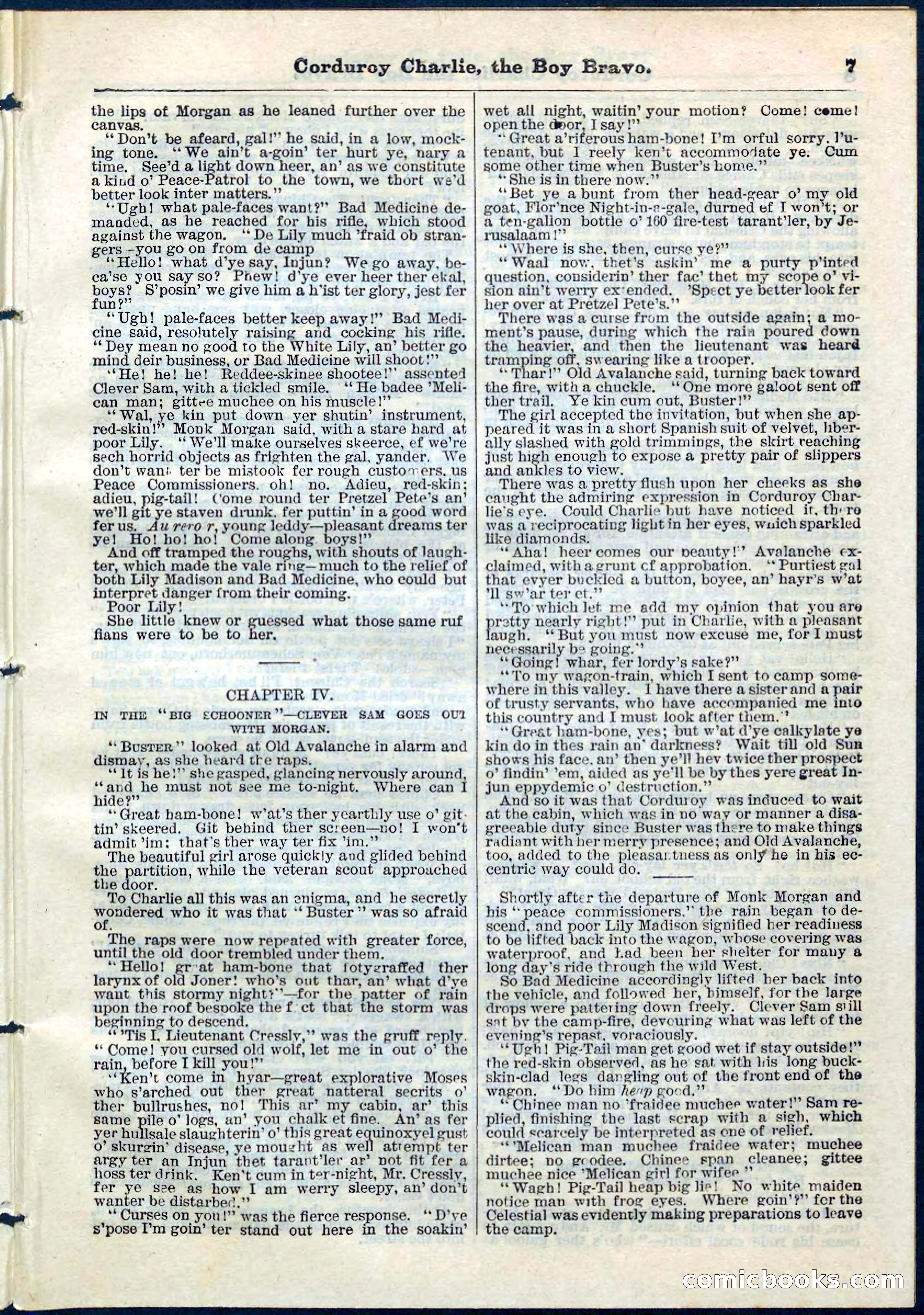 Beadle's Pocket Library No. 61 — page 7 of 32