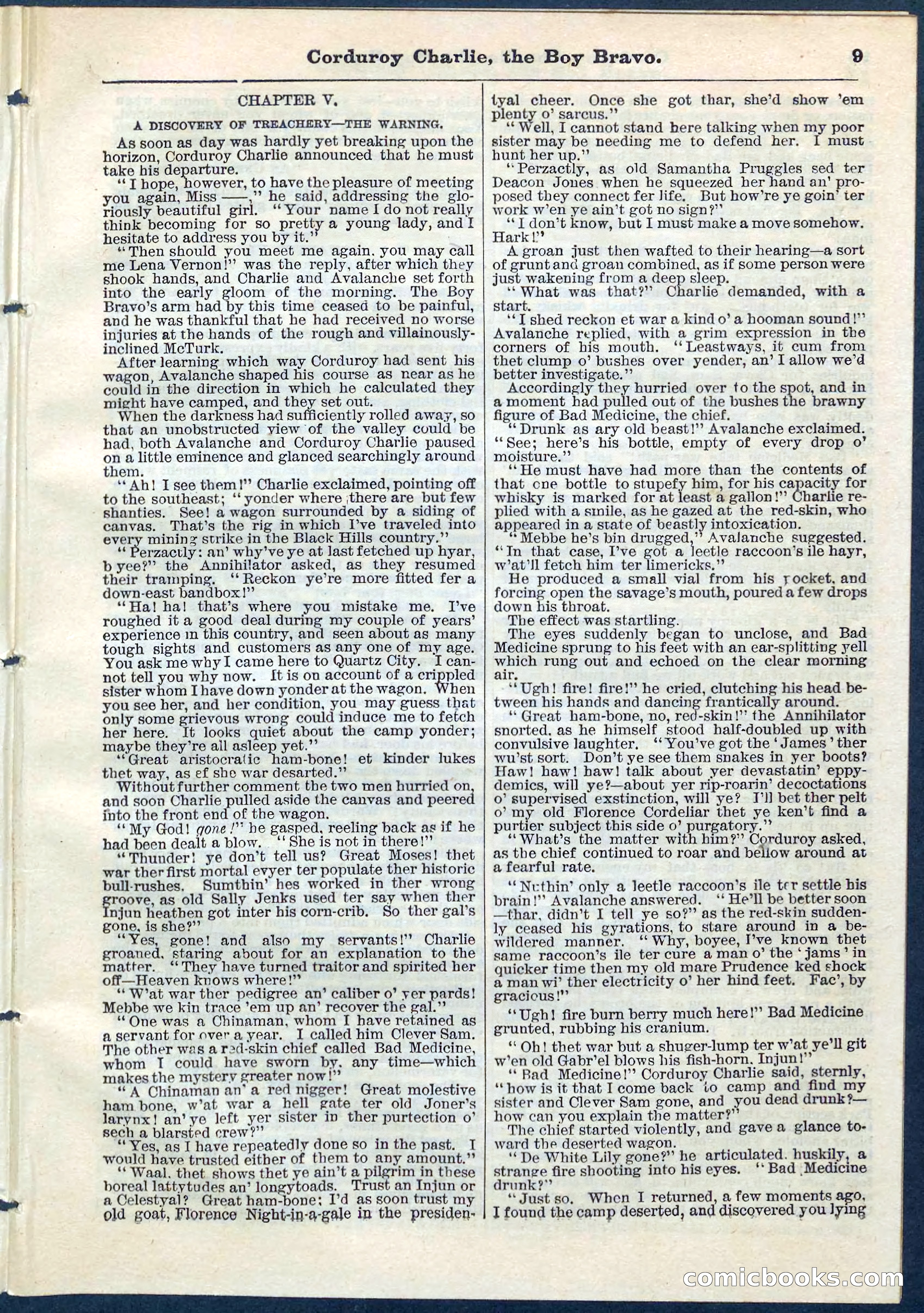 Beadle's Pocket Library No. 61 — page 9 of 32