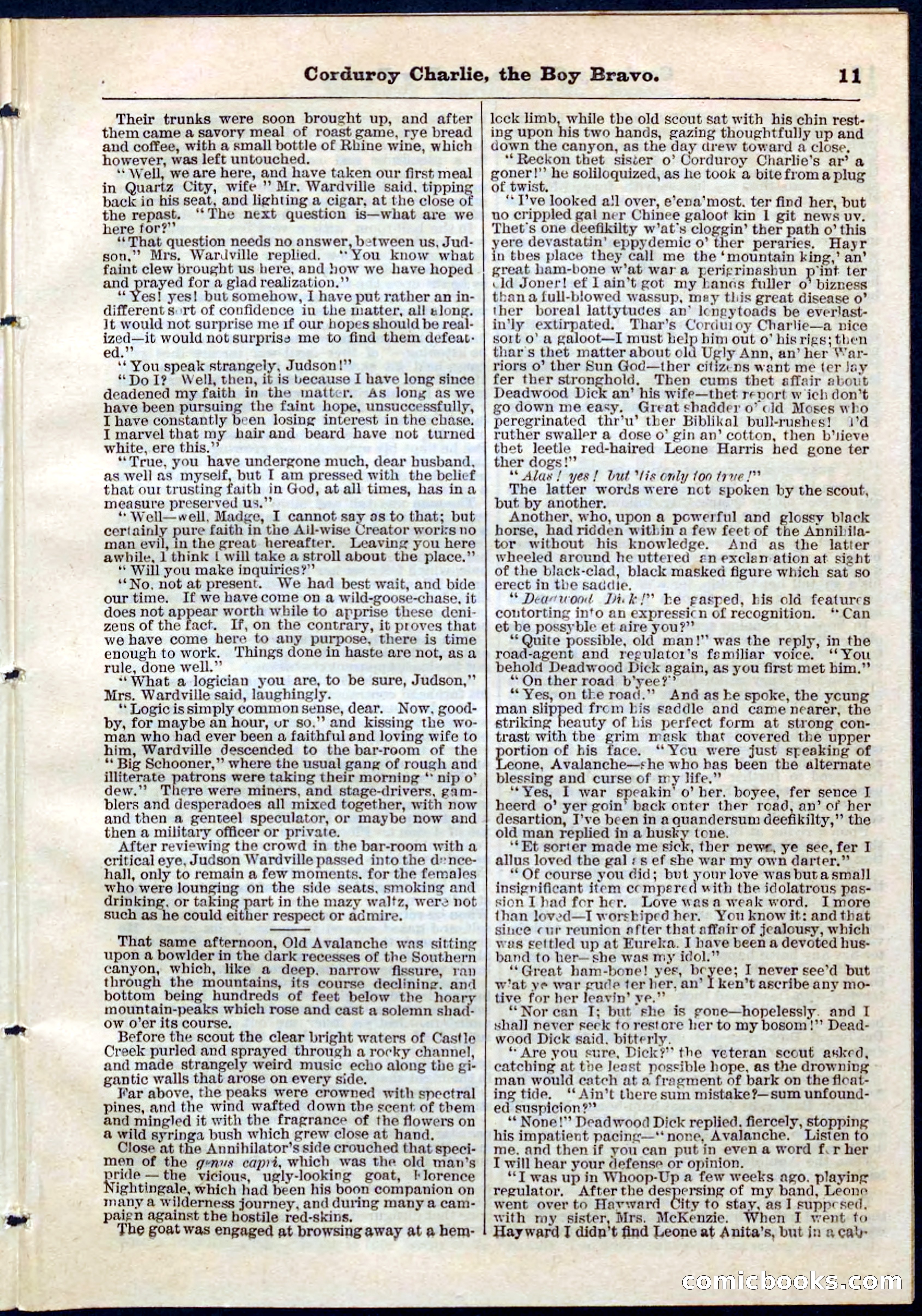 Beadle's Pocket Library No. 61 — page 11 of 32
