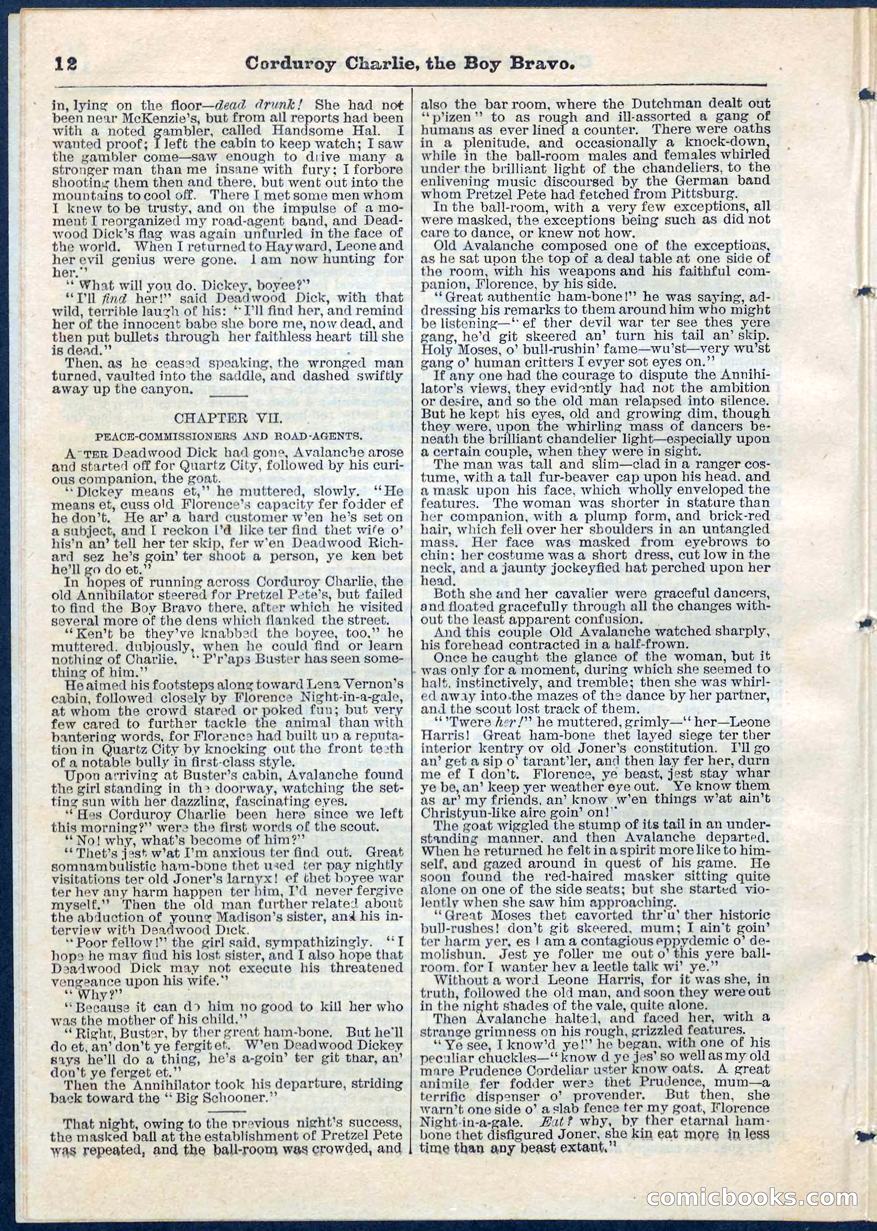 Beadle's Pocket Library No. 61 — page 12 of 32