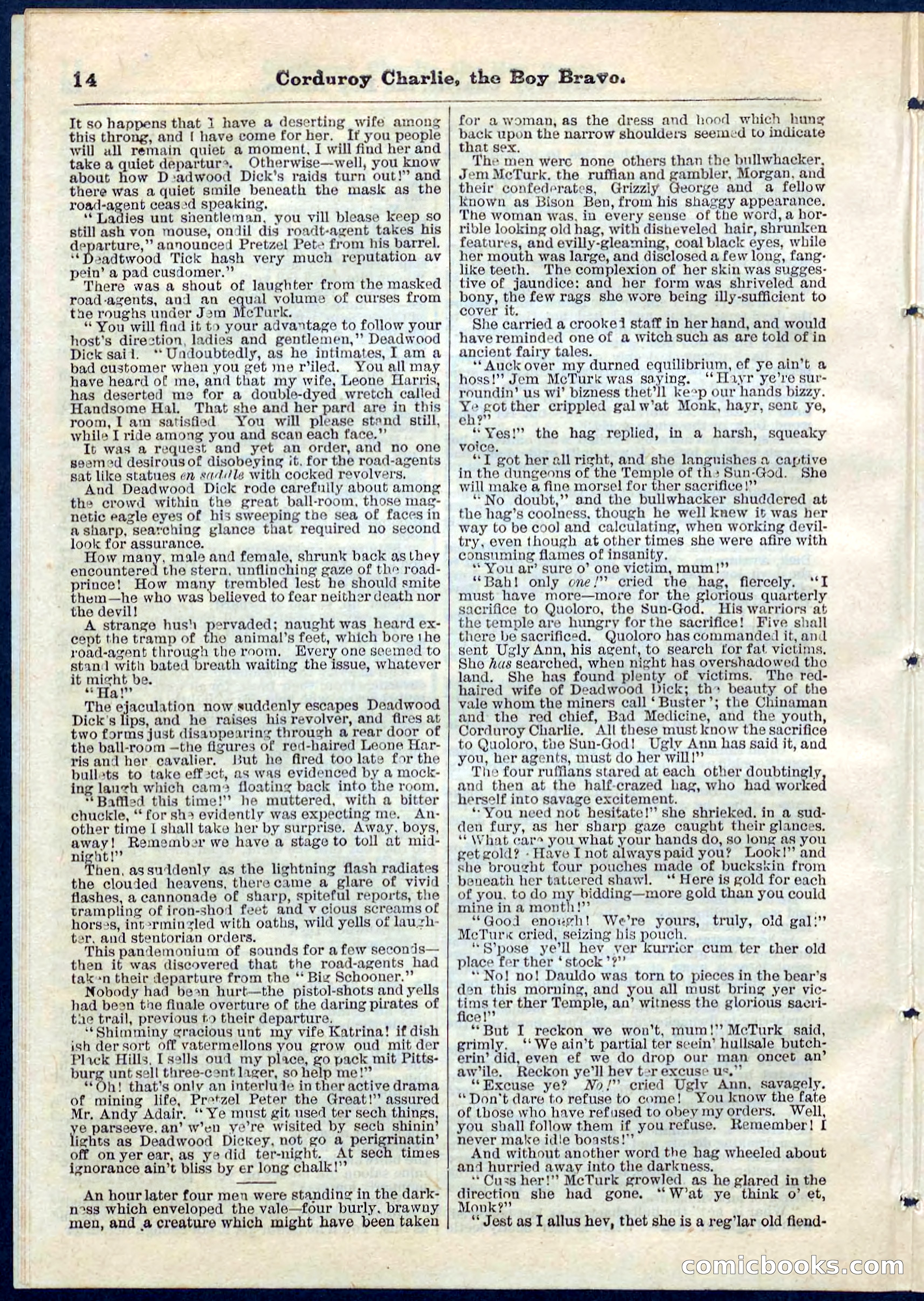 Beadle's Pocket Library No. 61 — page 14 of 32