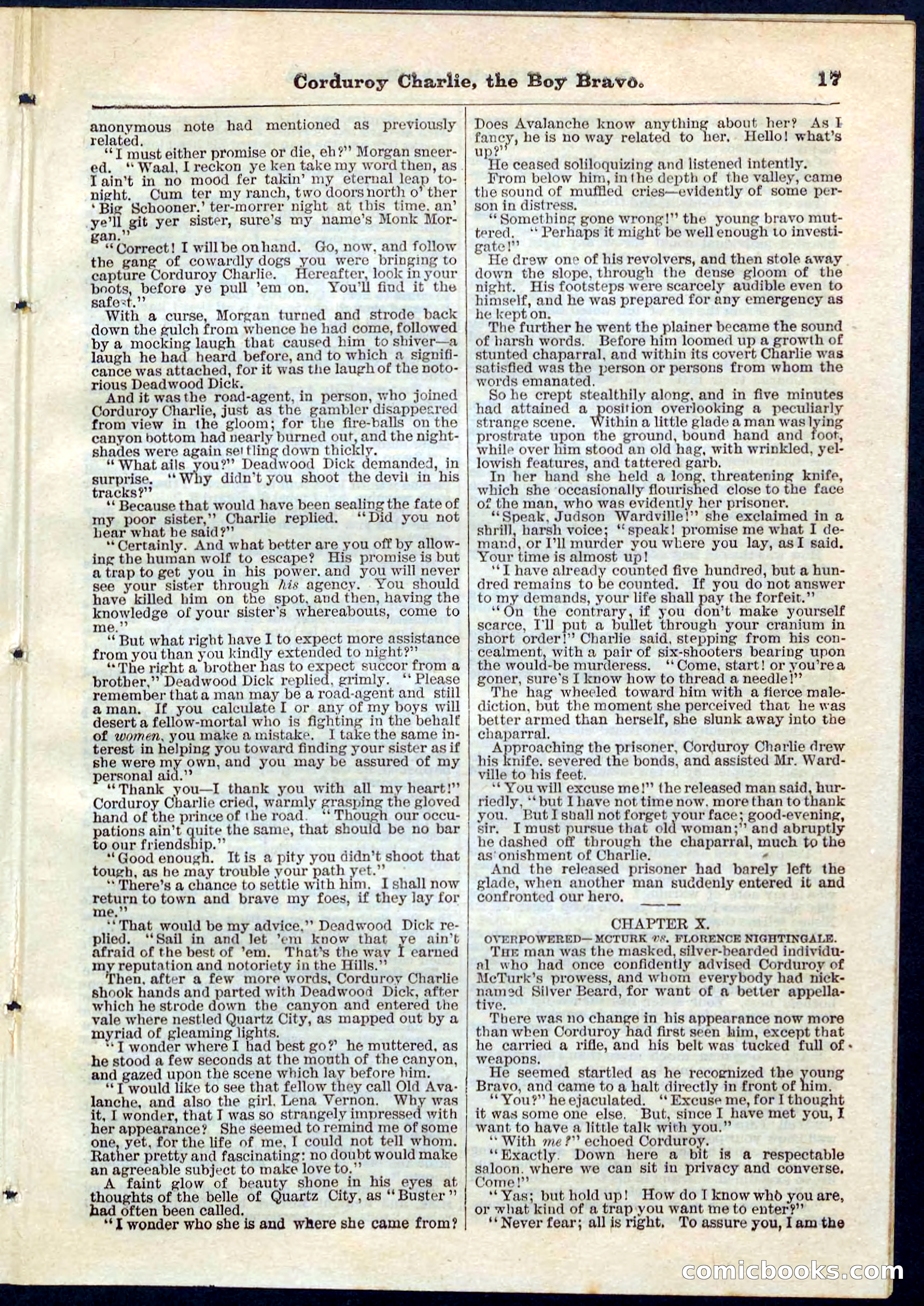 Beadle's Pocket Library No. 61 — page 17 of 32
