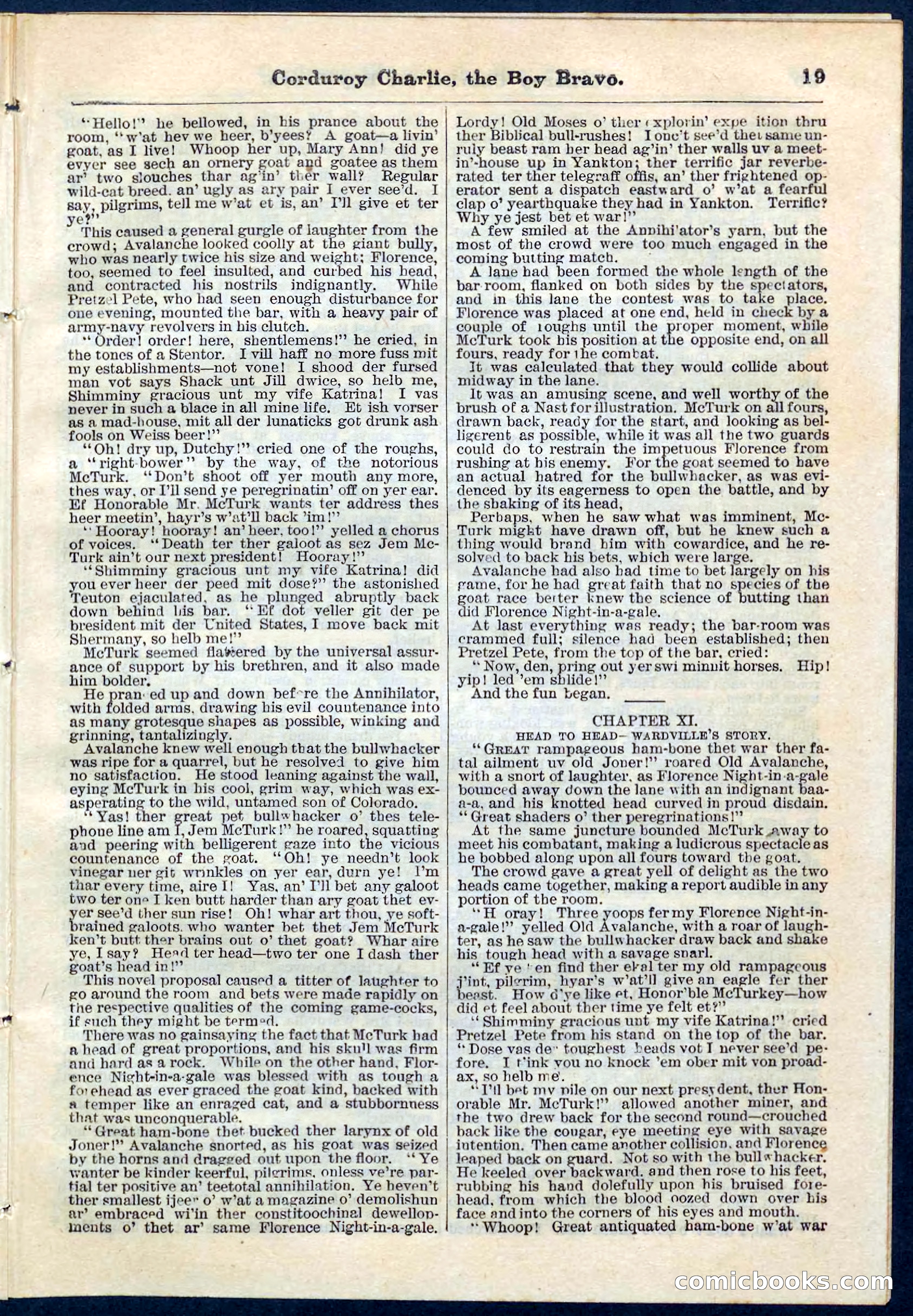 Beadle's Pocket Library No. 61 — page 19 of 32