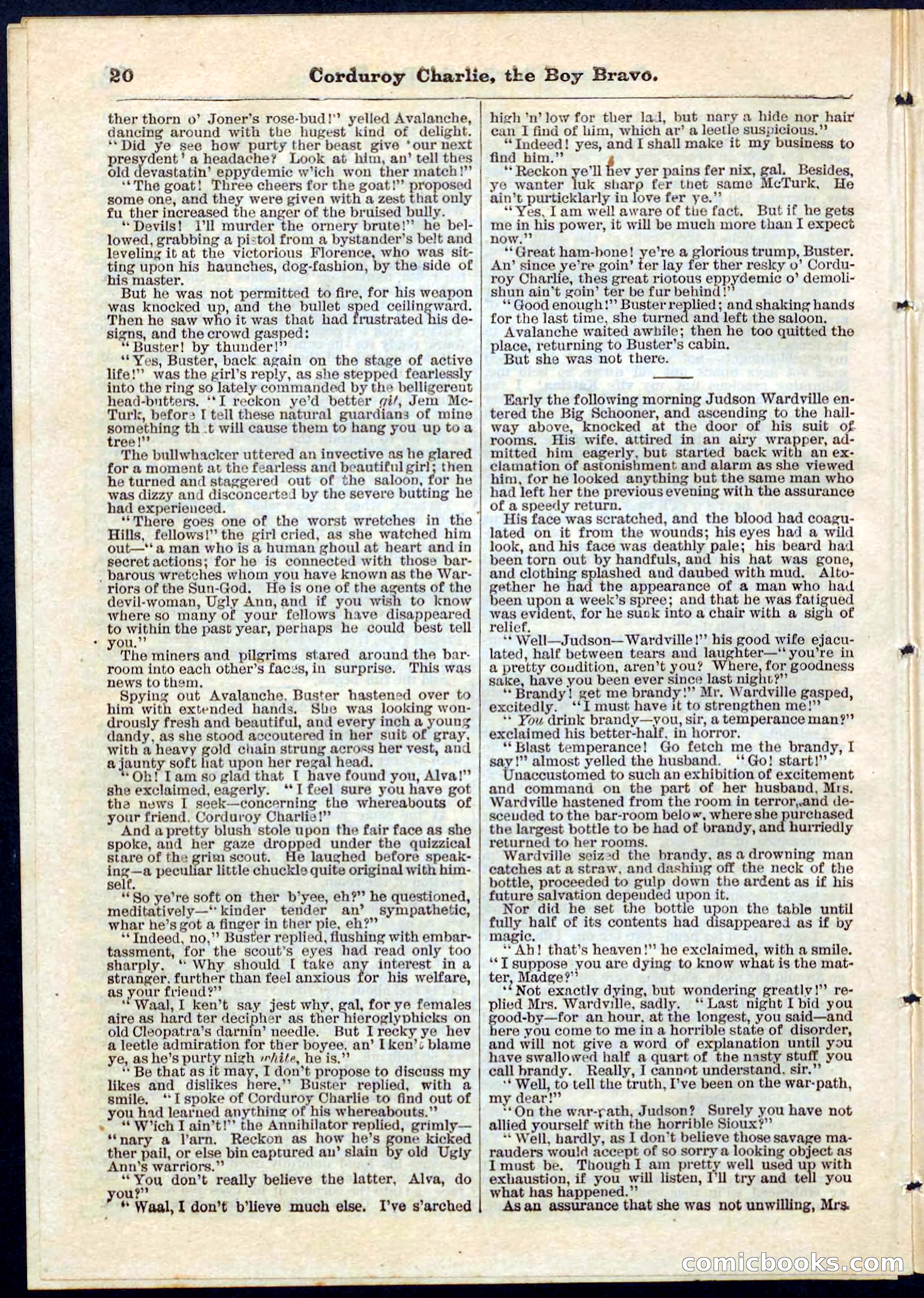 Beadle's Pocket Library No. 61 — page 20 of 32