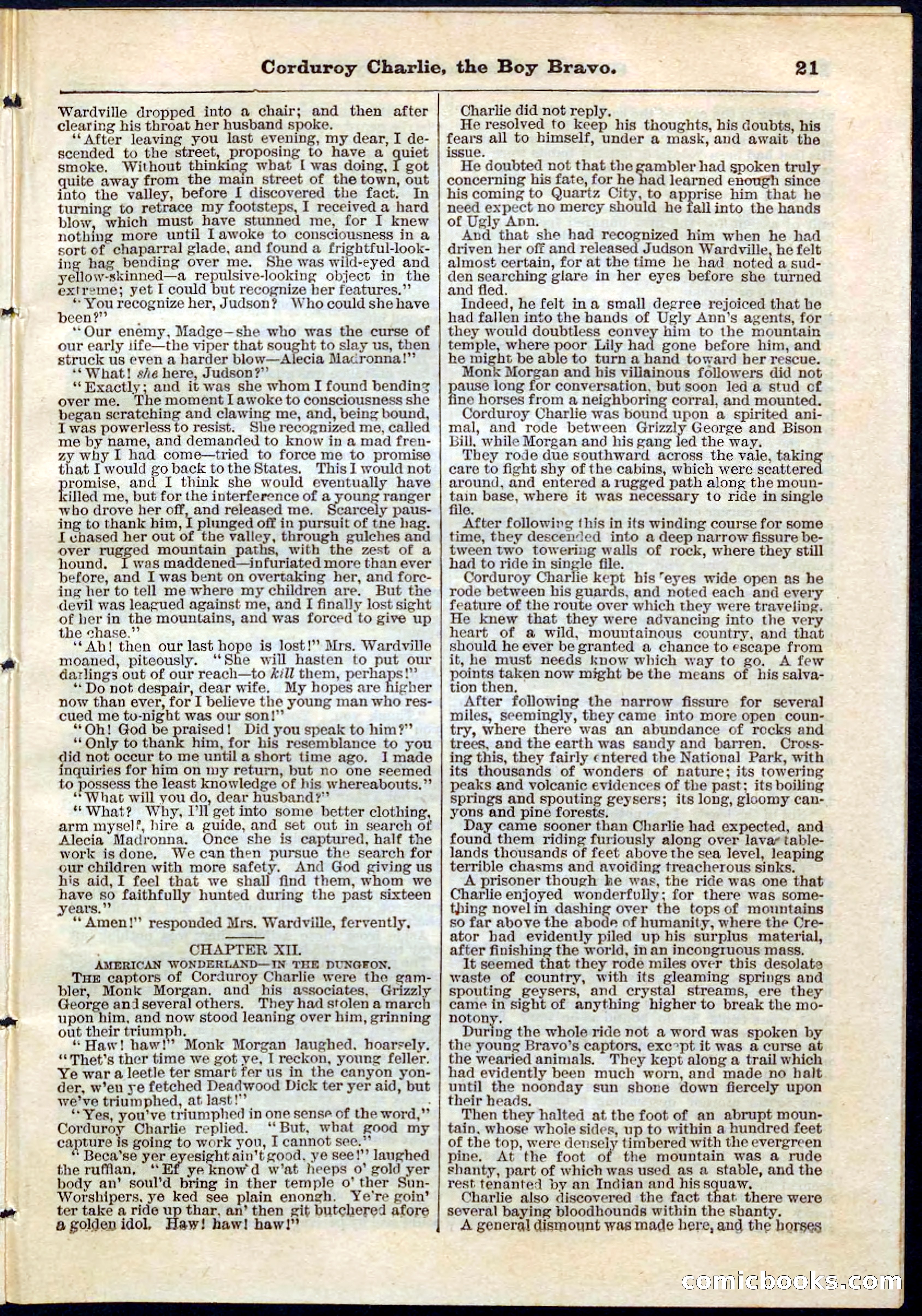Beadle's Pocket Library No. 61 — page 21 of 32