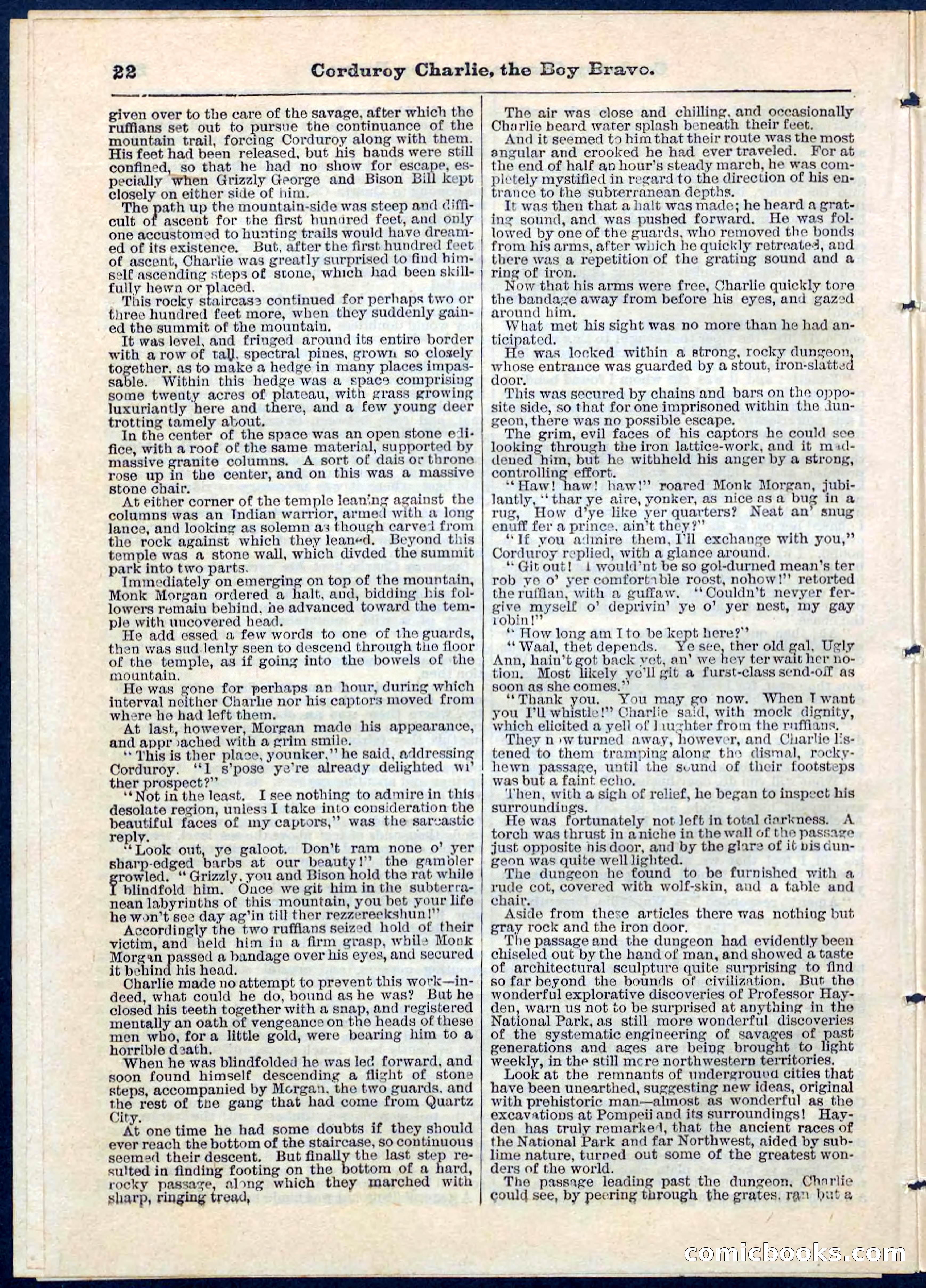 Beadle's Pocket Library No. 61 — page 22 of 32