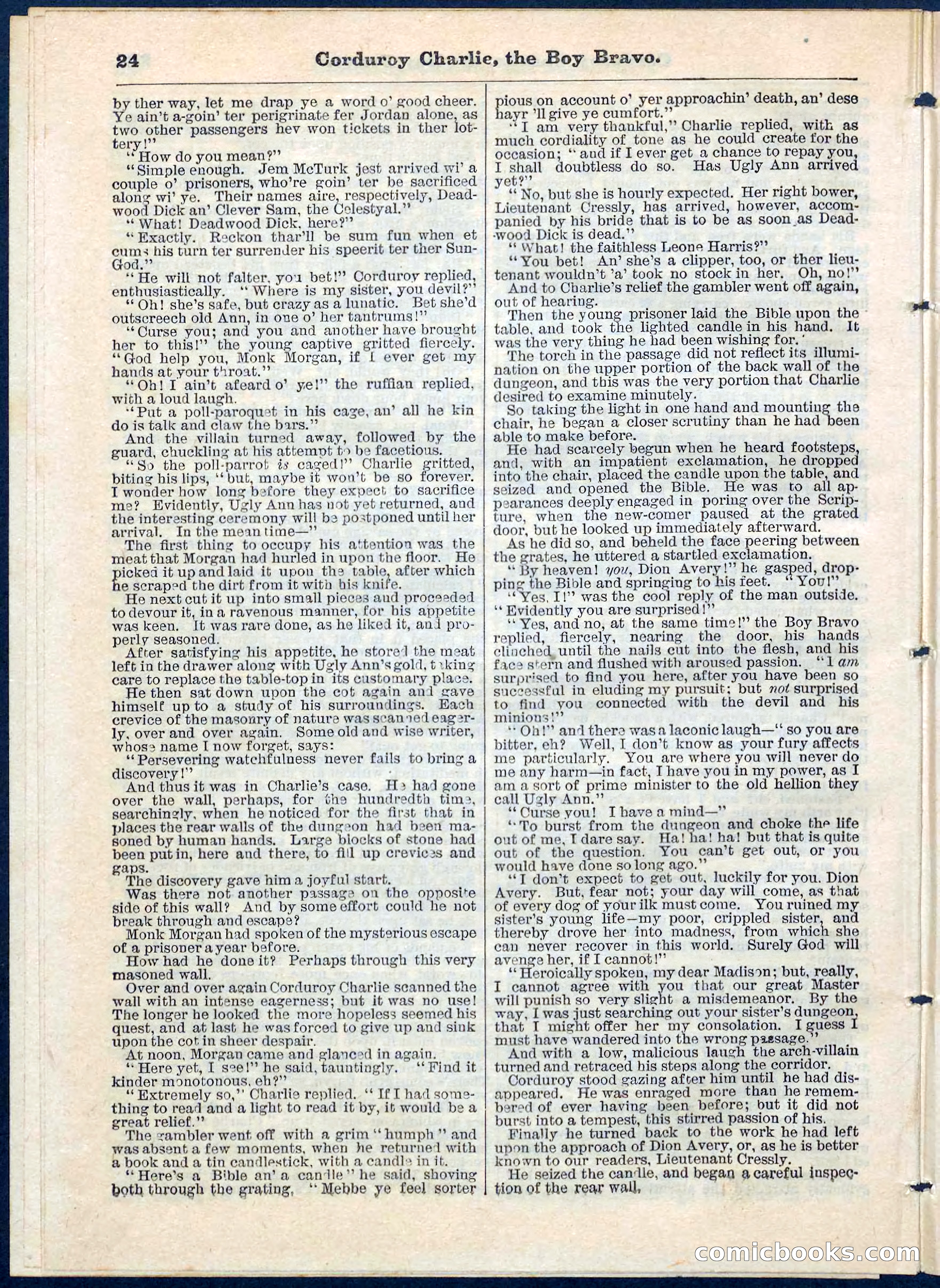Beadle's Pocket Library No. 61 — page 24 of 32