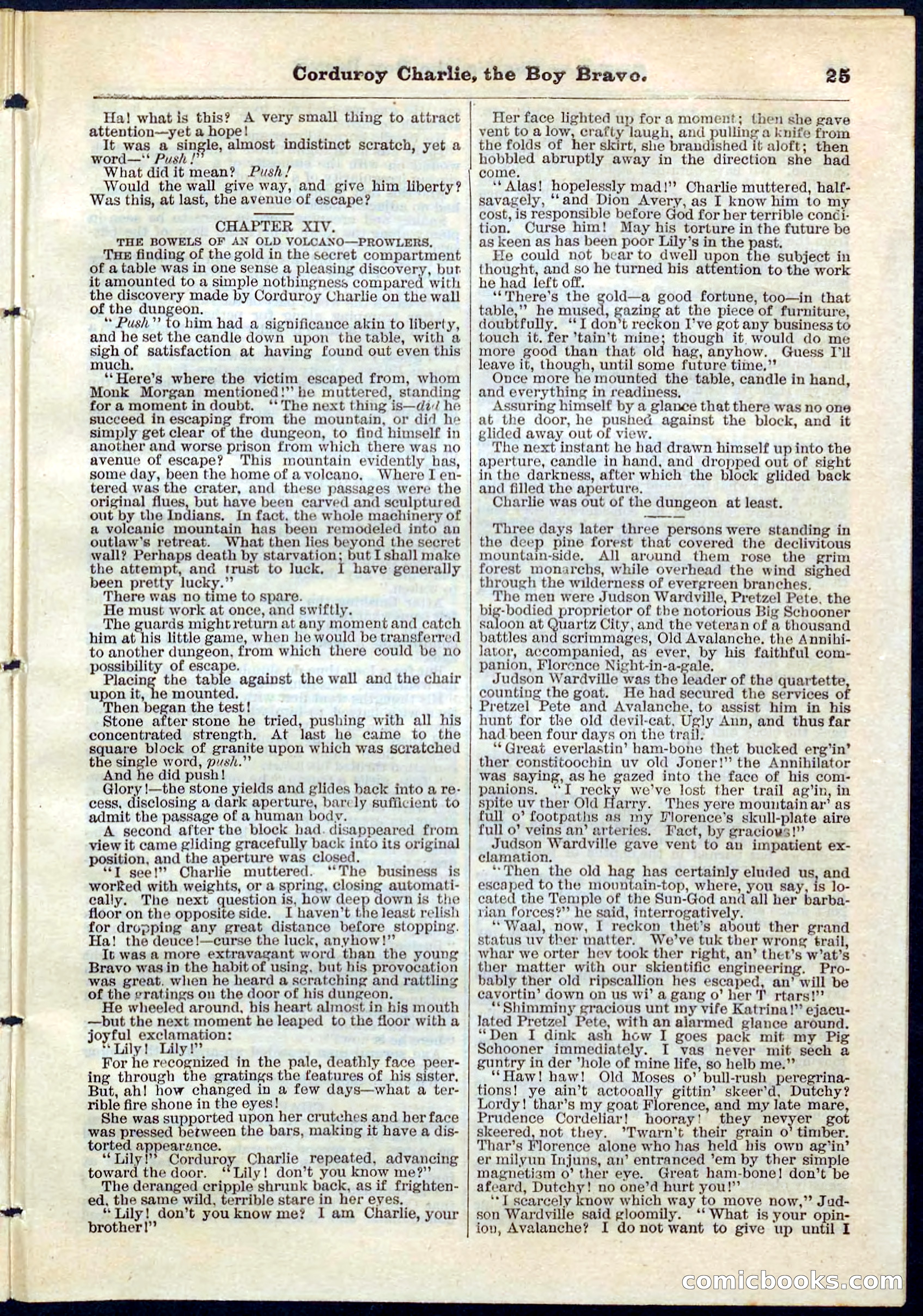 Beadle's Pocket Library No. 61 — page 25 of 32
