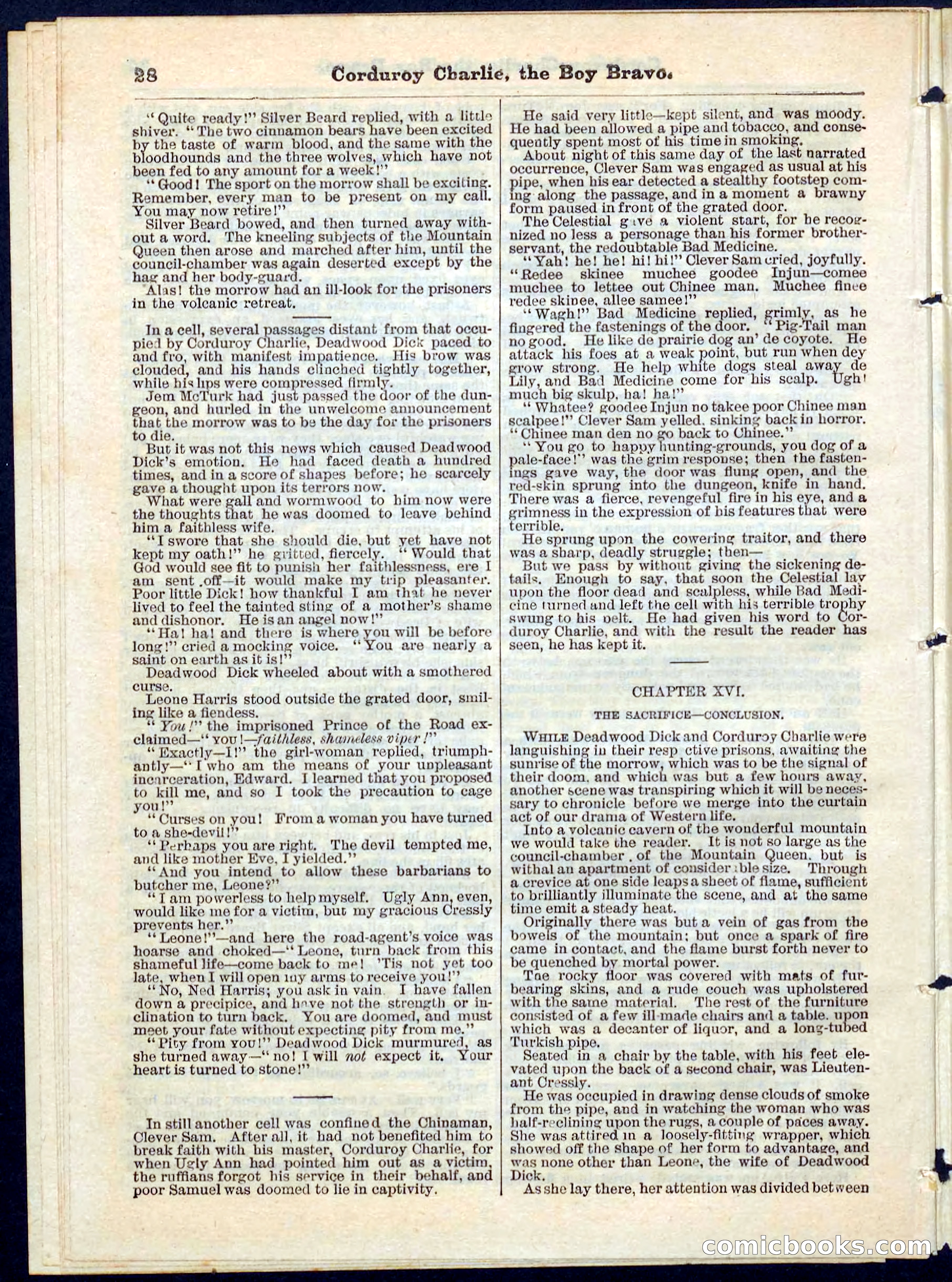 Beadle's Pocket Library No. 61 — page 28 of 32