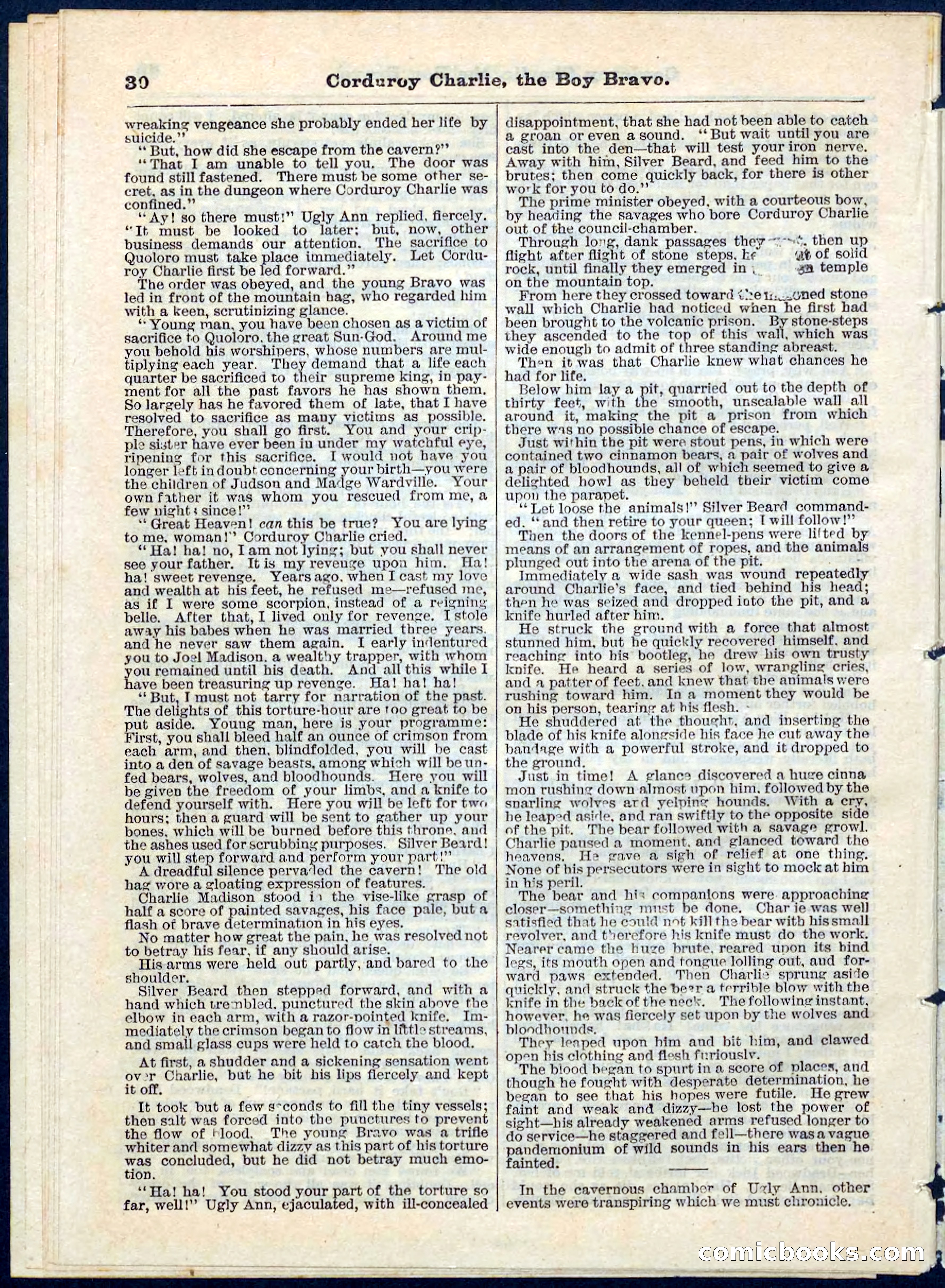 Beadle's Pocket Library No. 61 — page 30 of 32