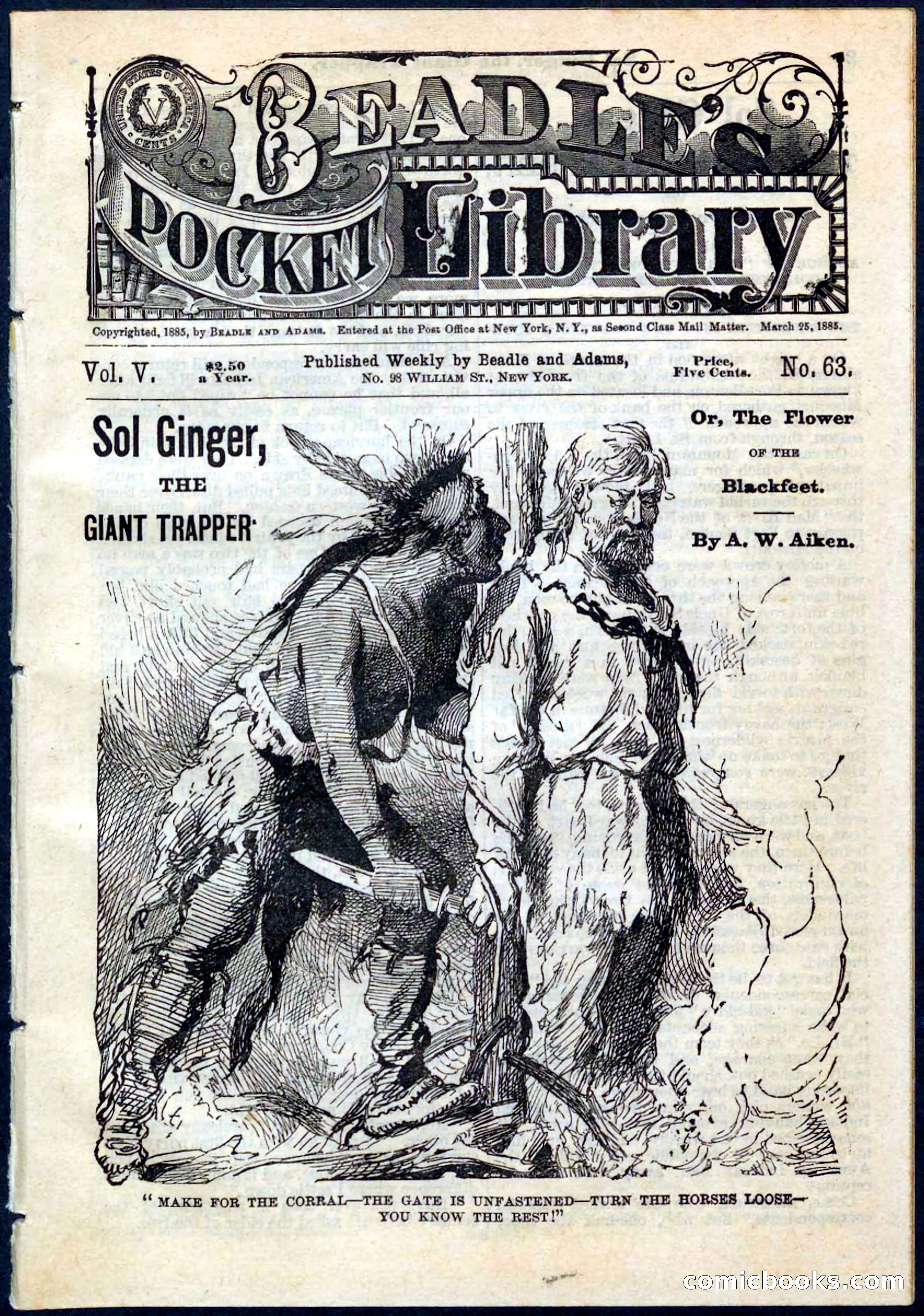Beadle's Pocket Library, No. 63 — page 1 of 32