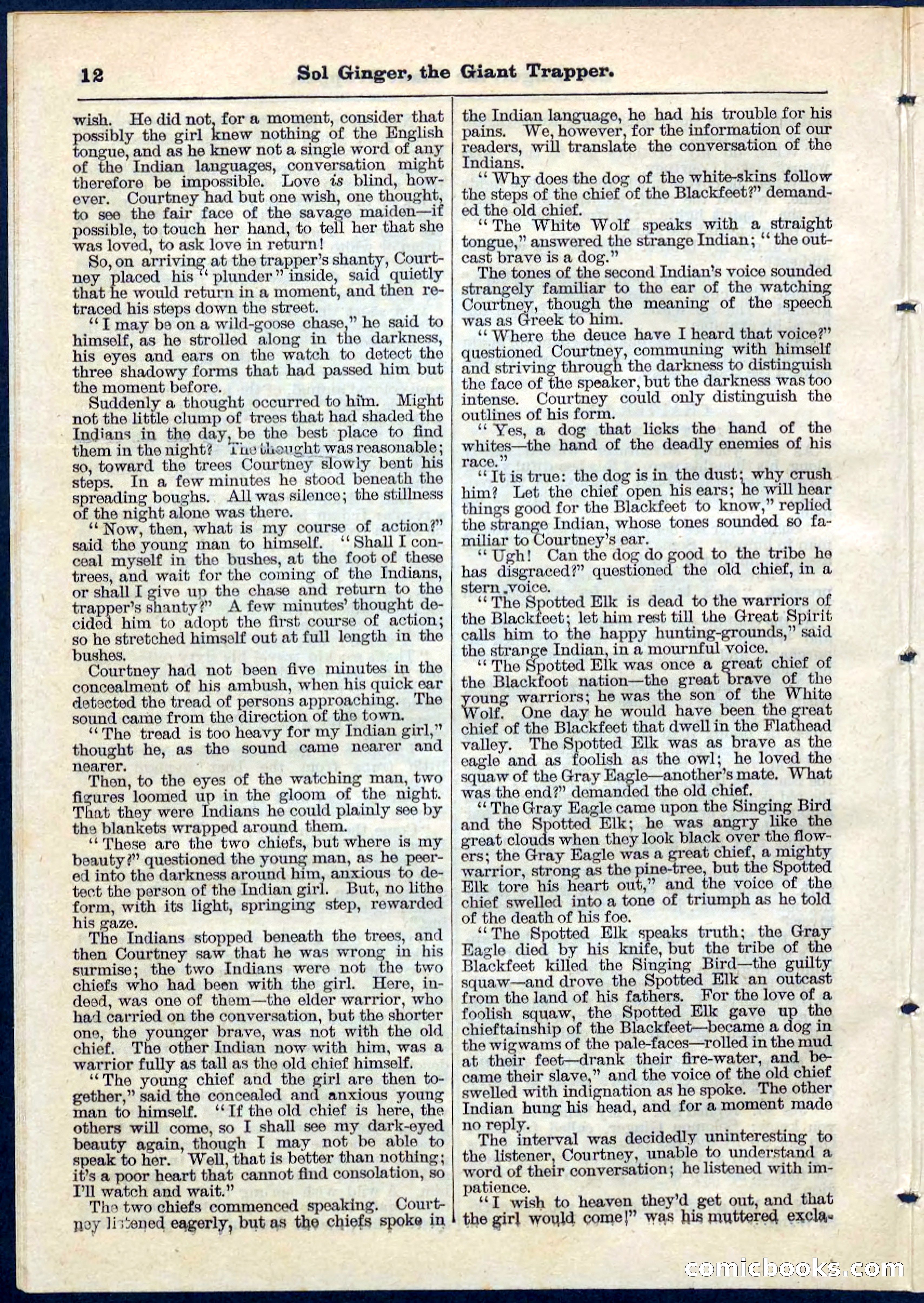 Beadle's Pocket Library, No. 63 — page 12 of 32