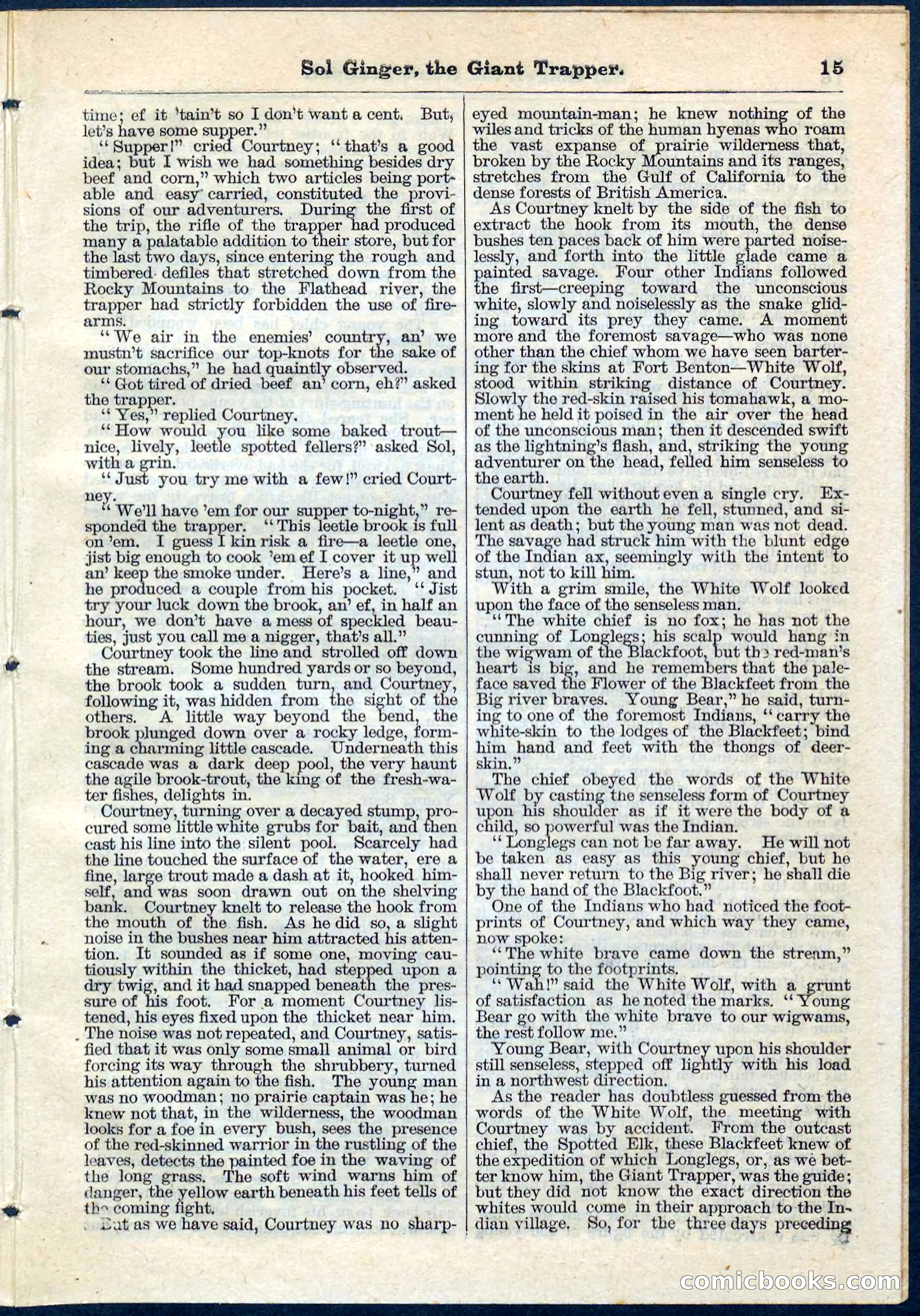 Beadle's Pocket Library, No. 63 — page 15 of 32