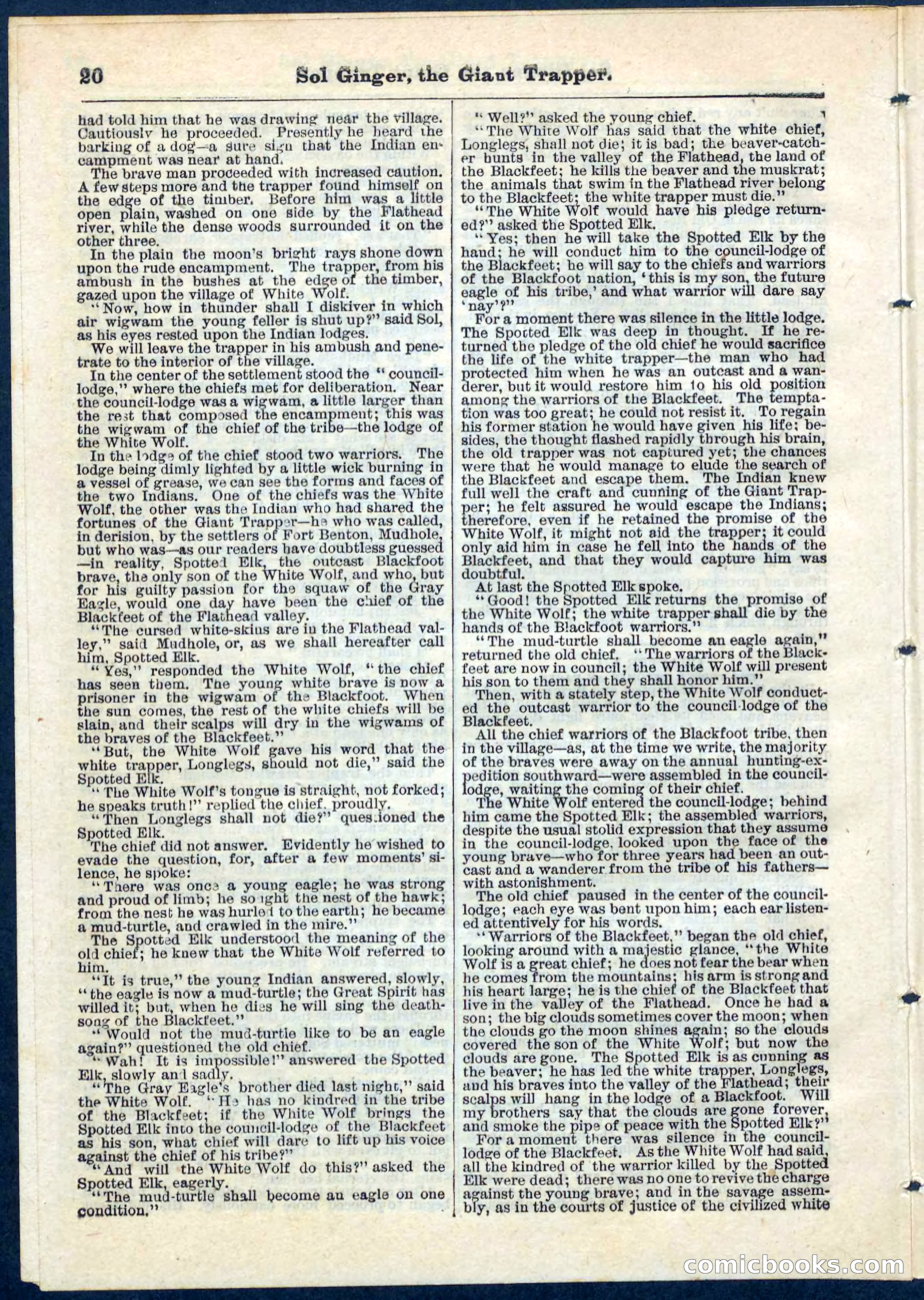 Beadle's Pocket Library, No. 63 — page 20 of 32