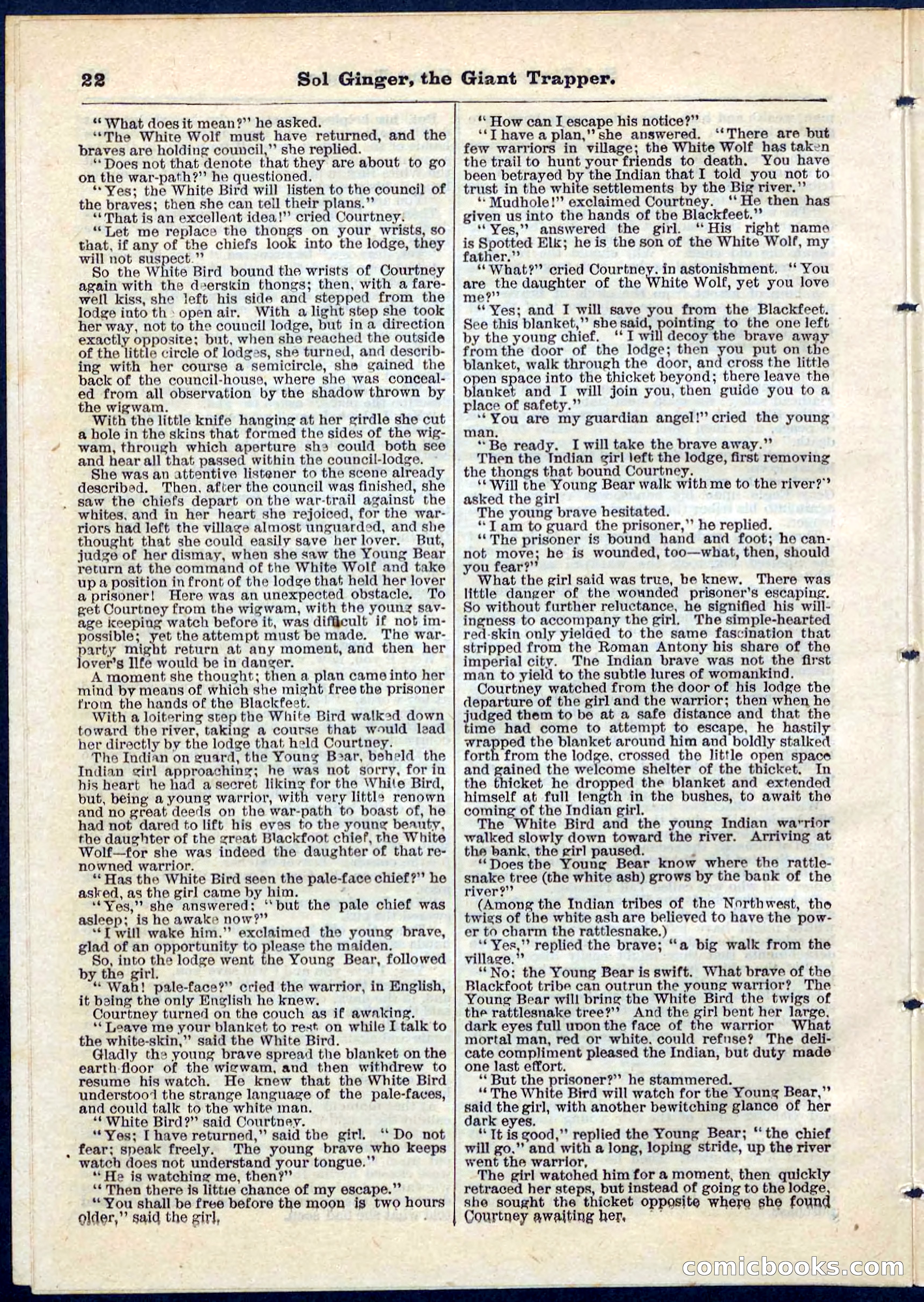 Beadle's Pocket Library, No. 63 — page 22 of 32