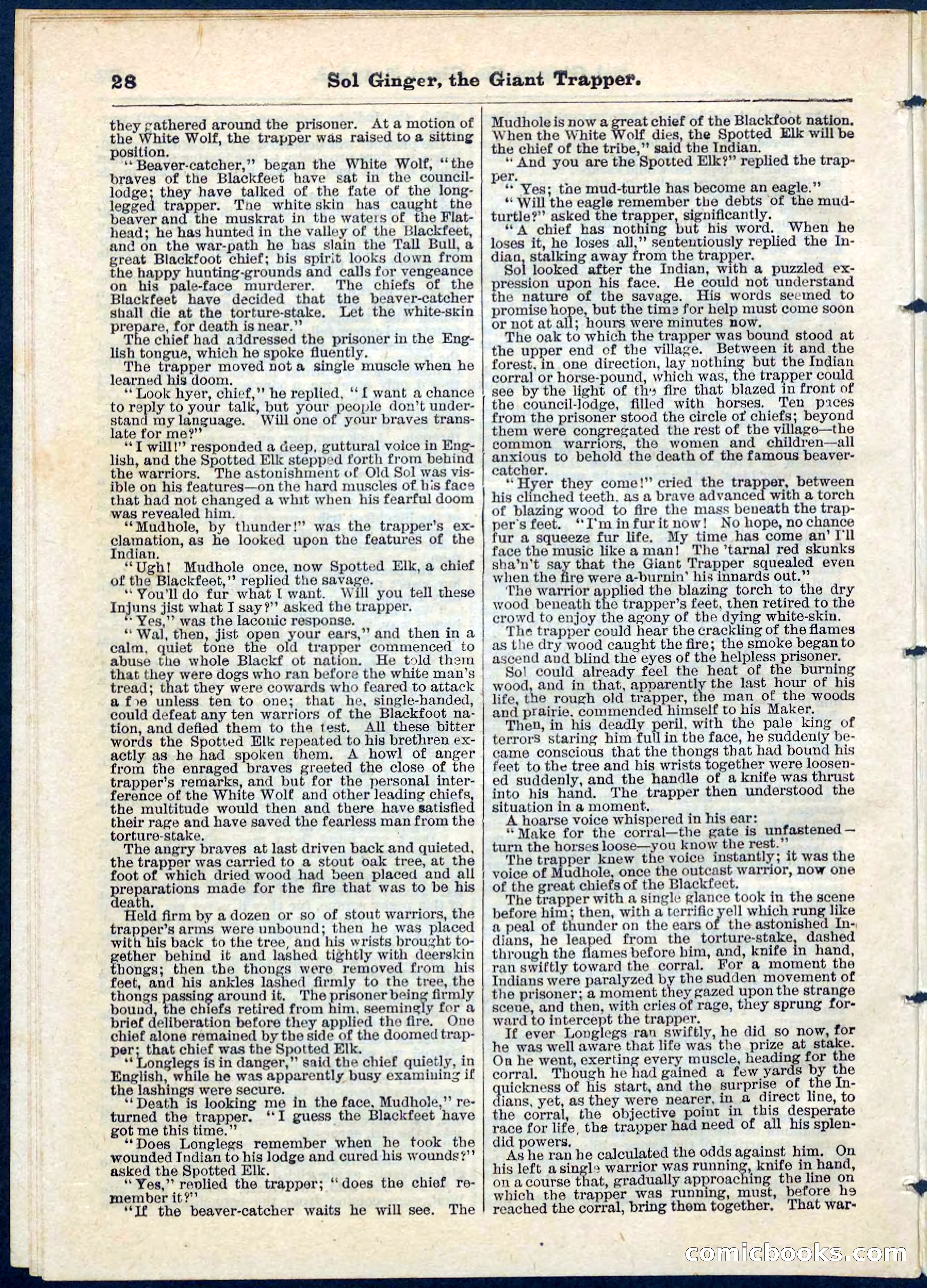 Beadle's Pocket Library, No. 63 — page 28 of 32