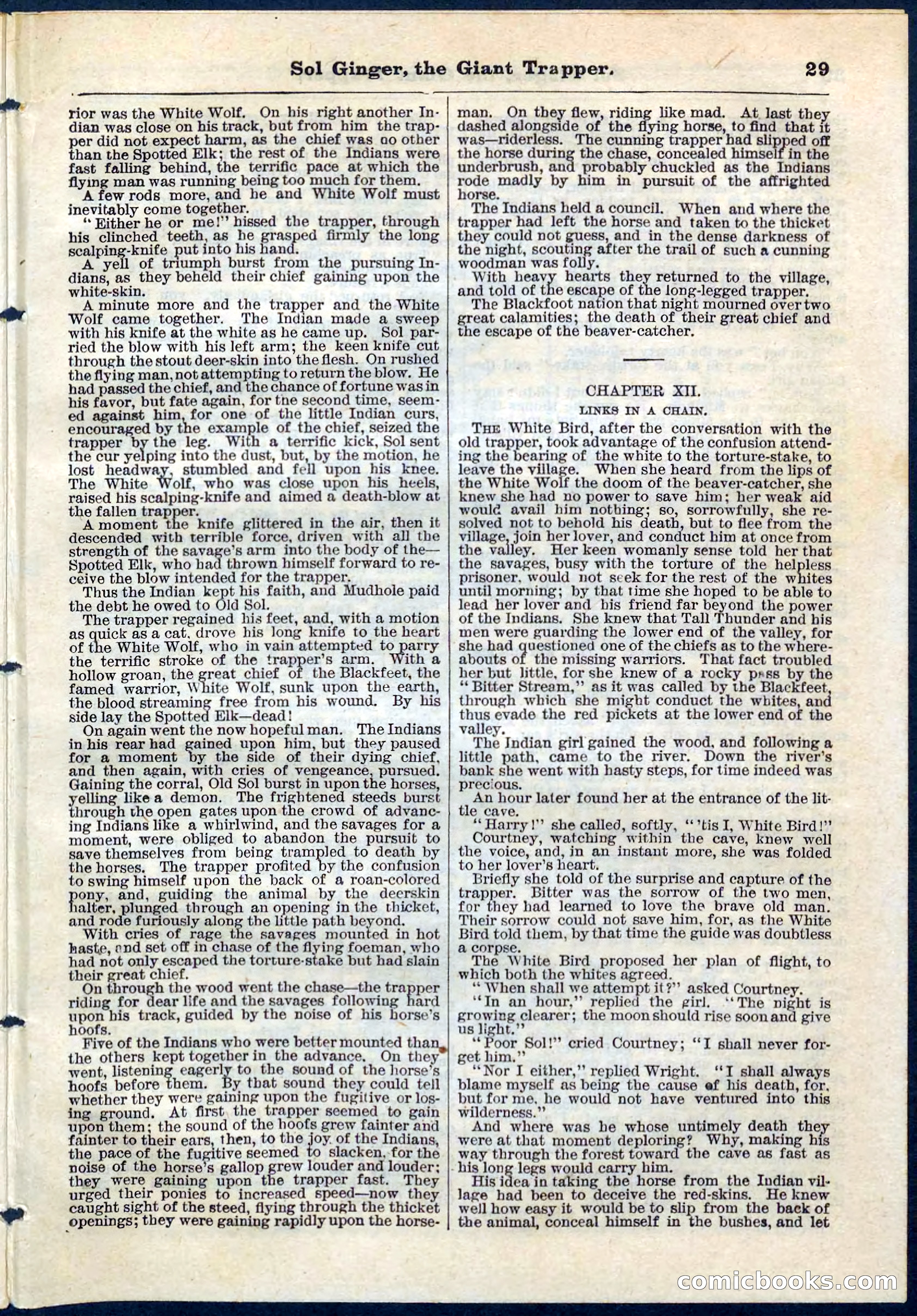 Beadle's Pocket Library, No. 63 — page 29 of 32