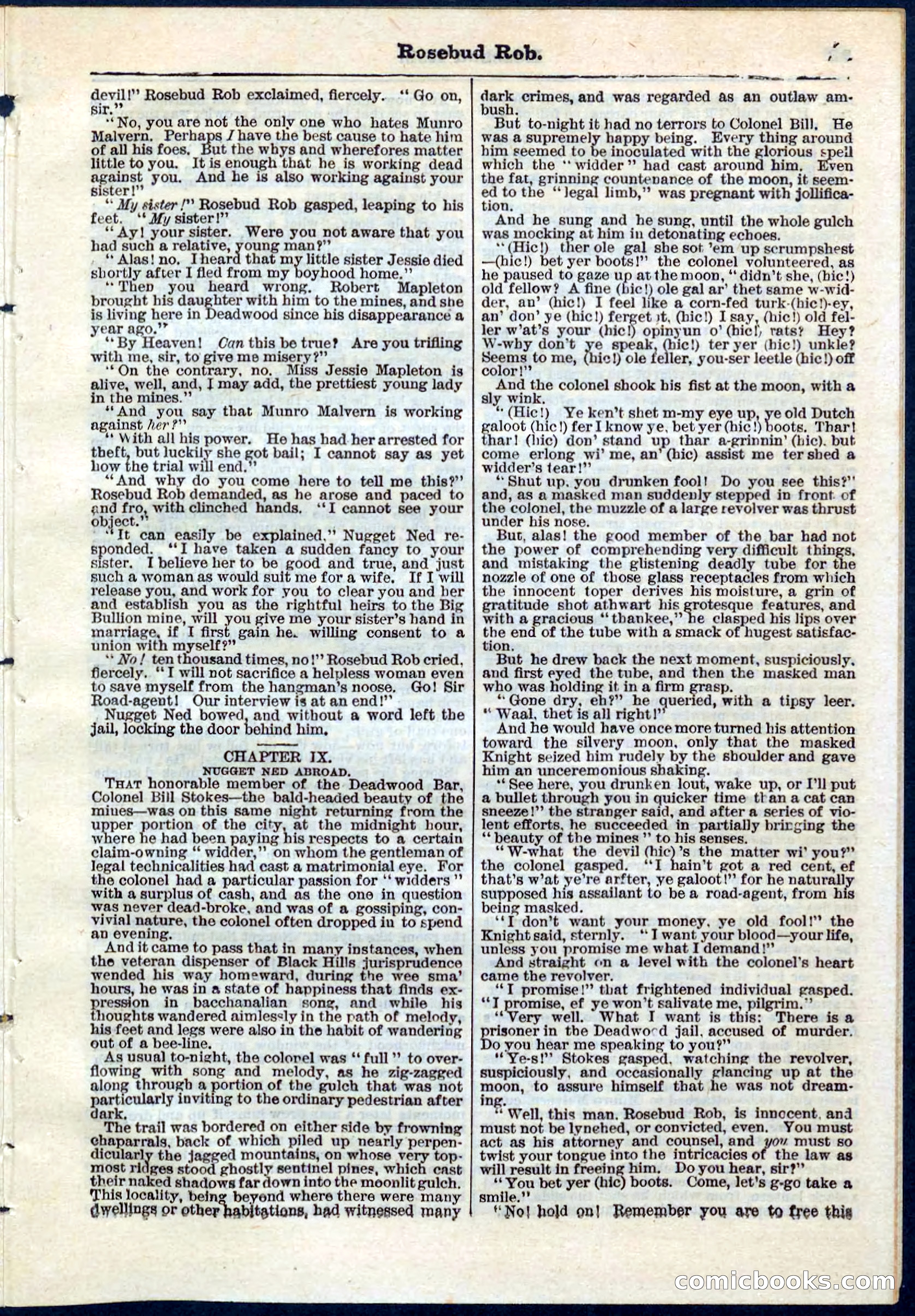 Beadle's Pocket Library, No. 64 — page 21 of 32