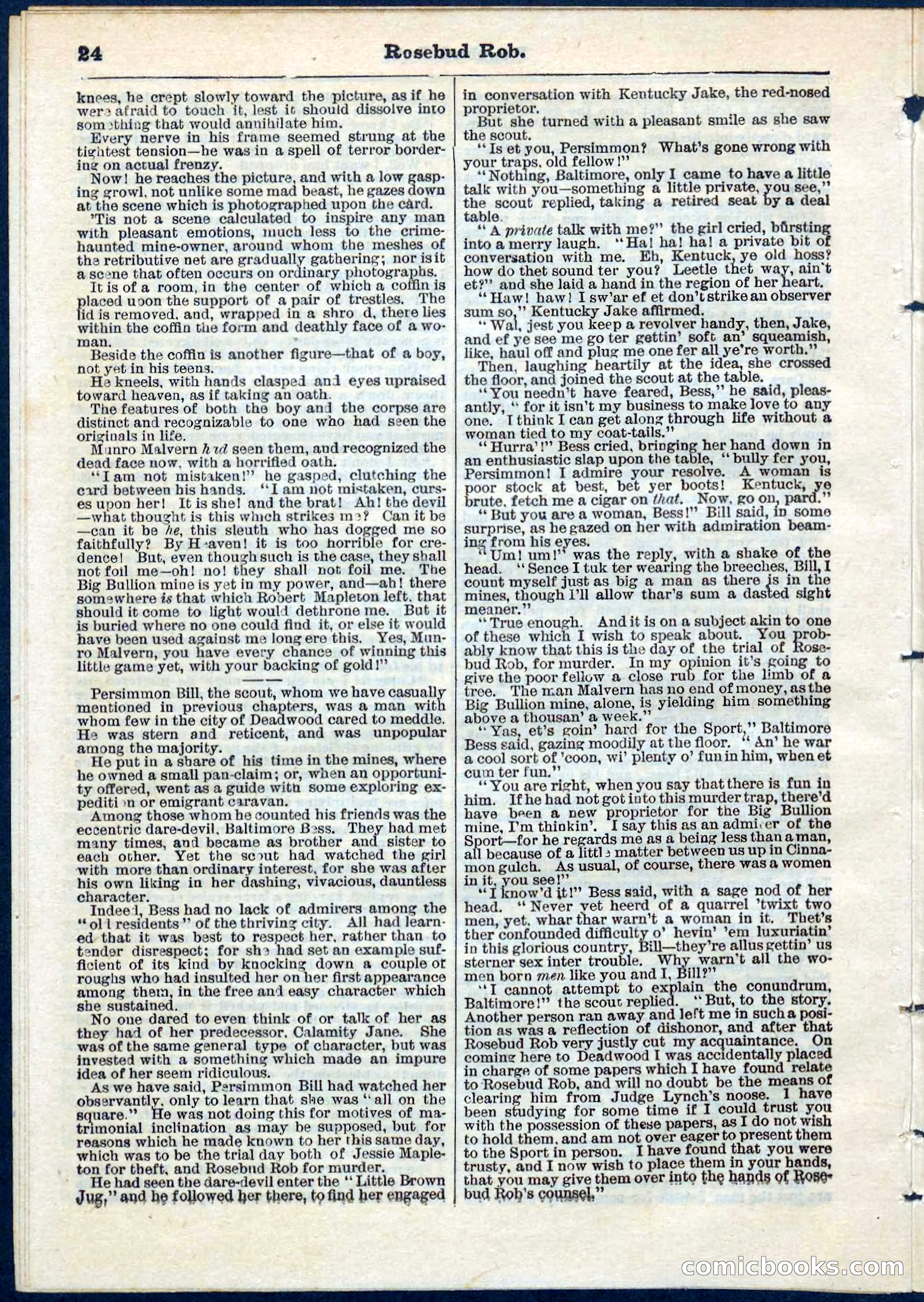 Beadle's Pocket Library, No. 64 — page 24 of 32