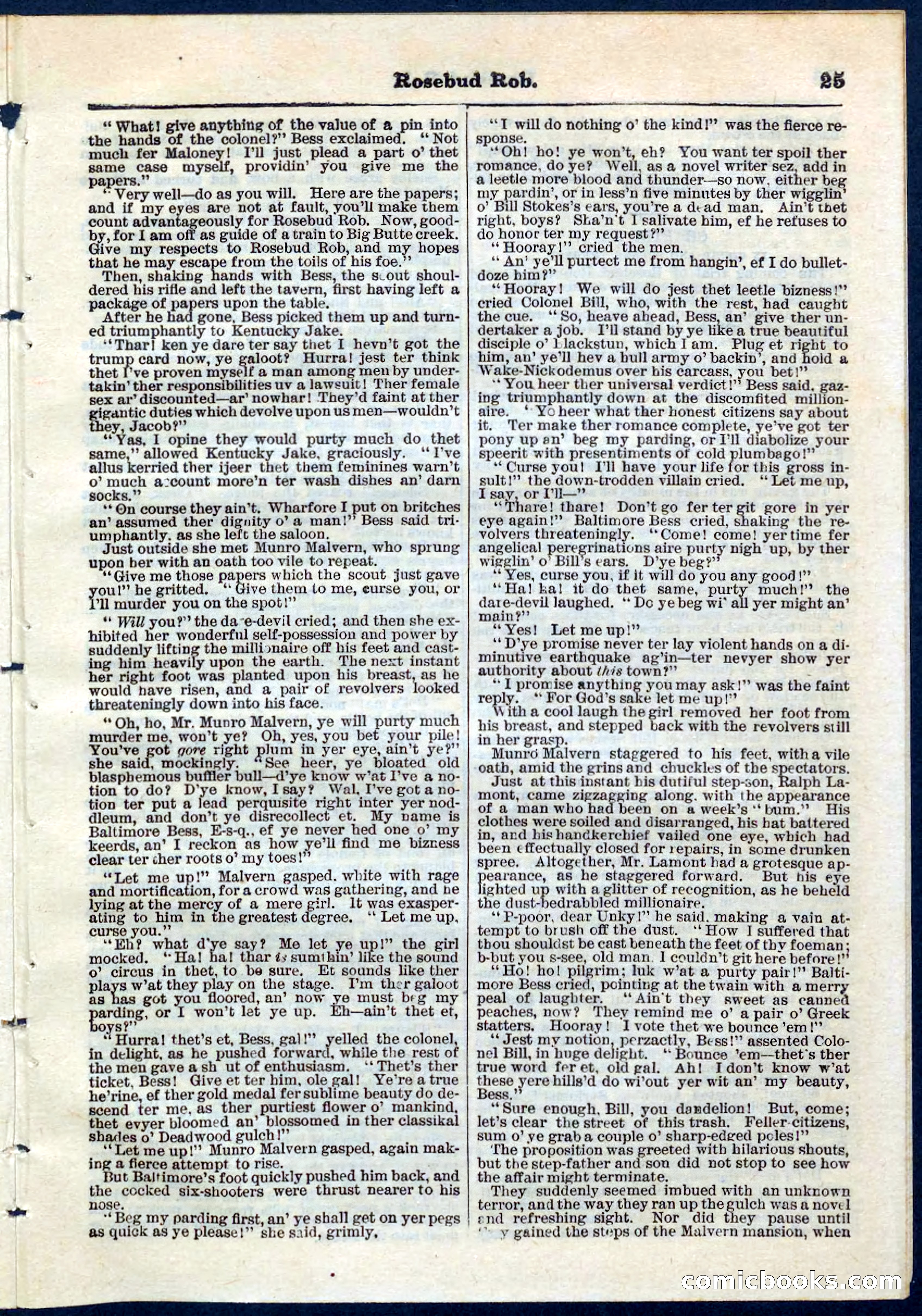 Beadle's Pocket Library, No. 64 — page 25 of 32