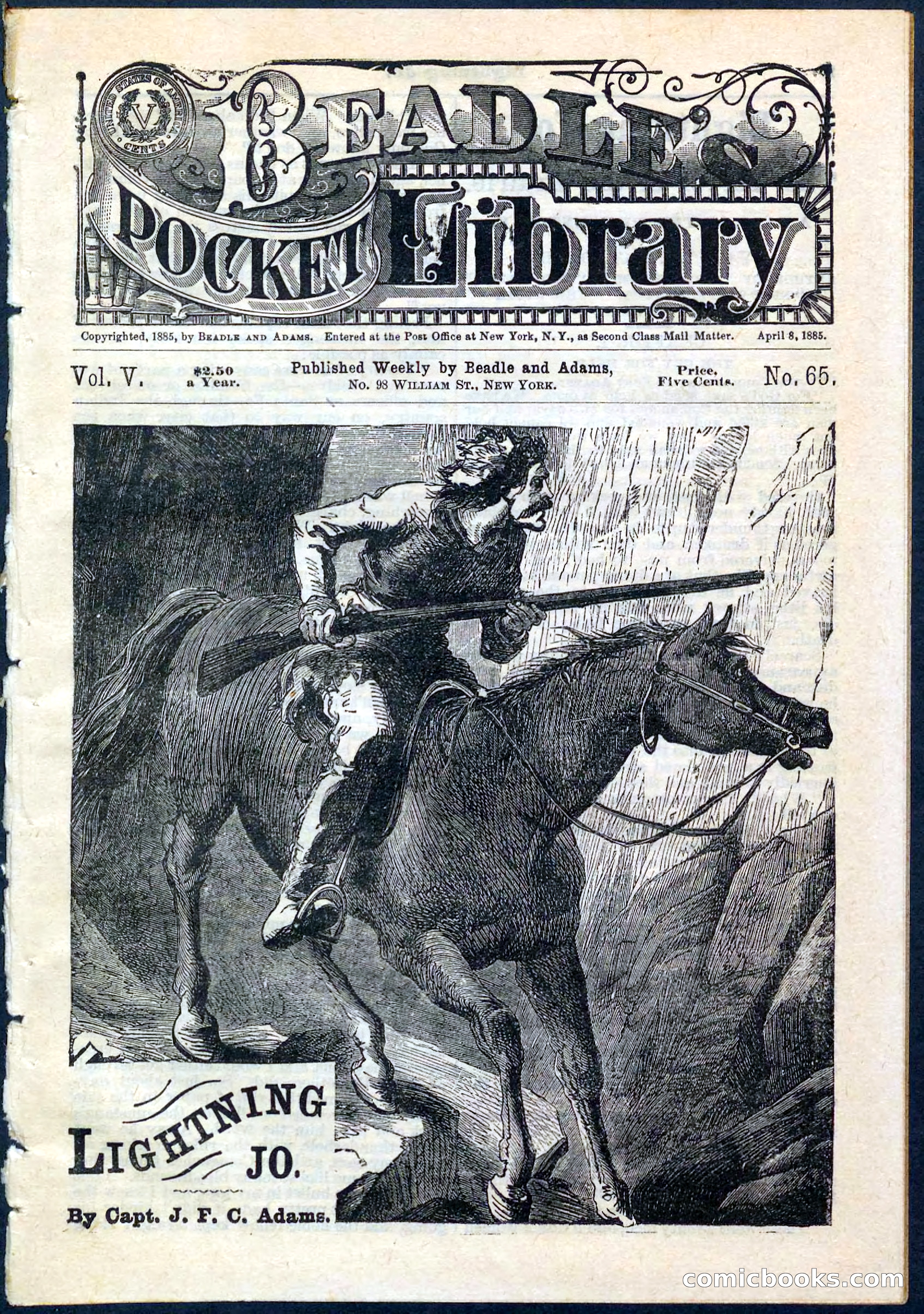 Beadle's Pocket Library No. 65 — page 1 of 32