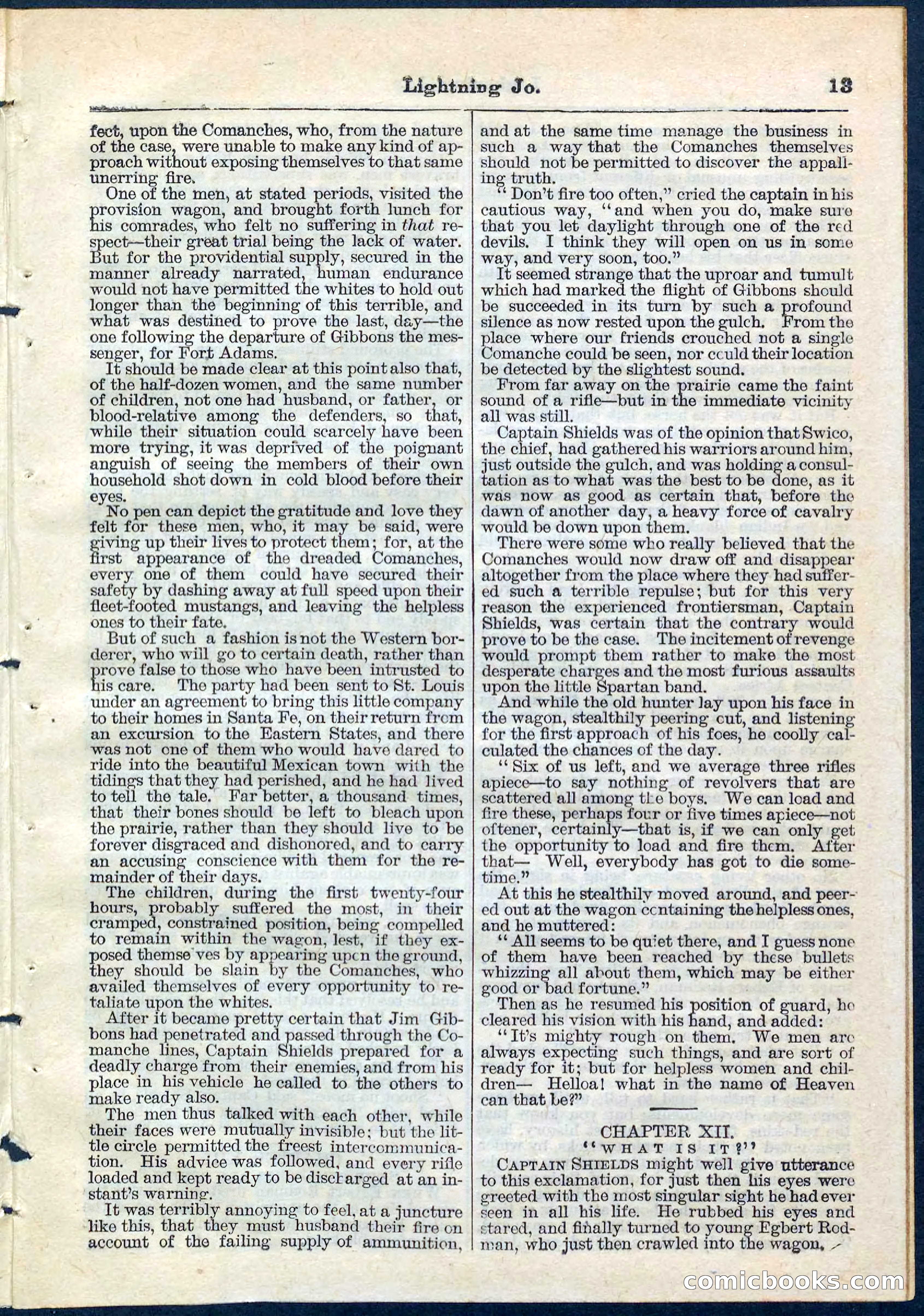 Beadle's Pocket Library No. 65 — page 13 of 32