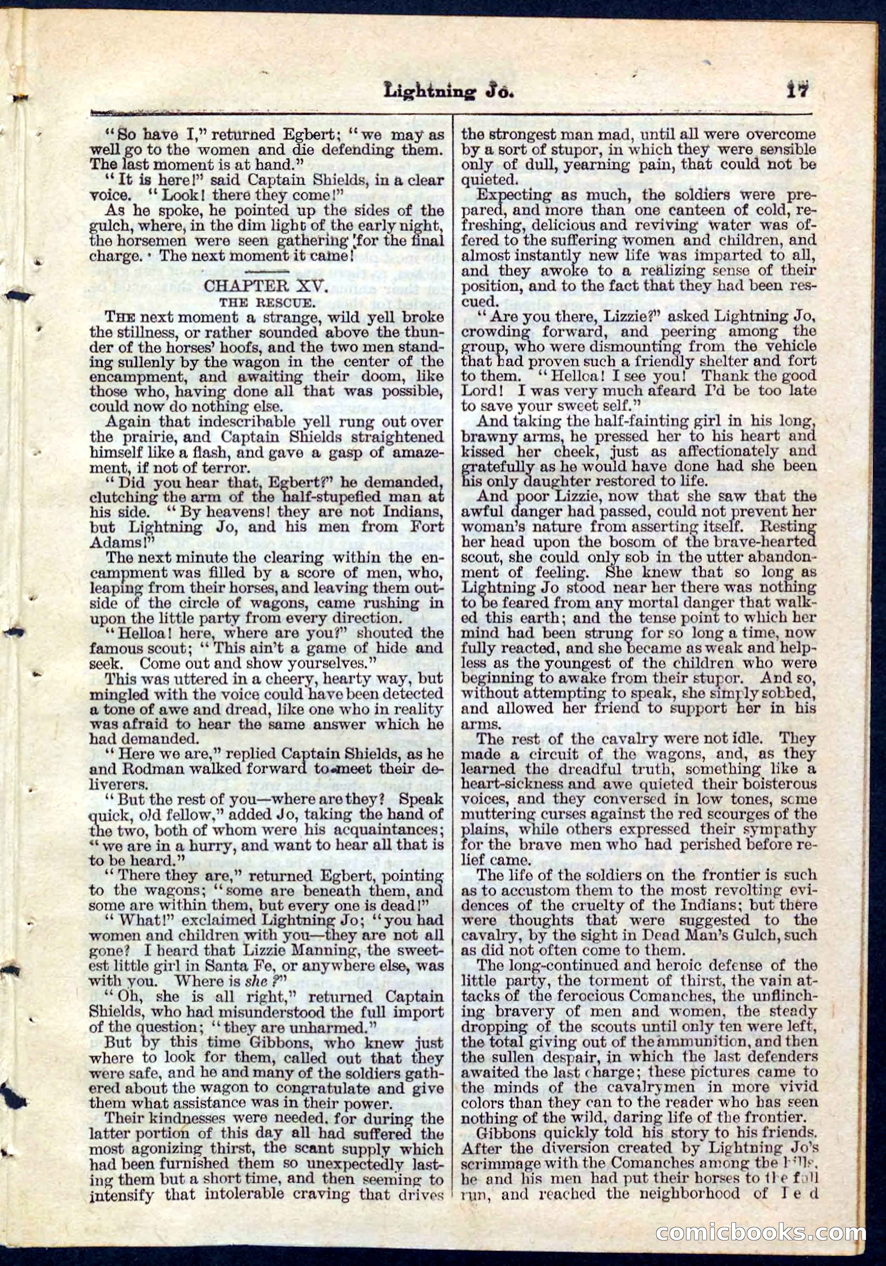 Beadle's Pocket Library No. 65 — page 17 of 32