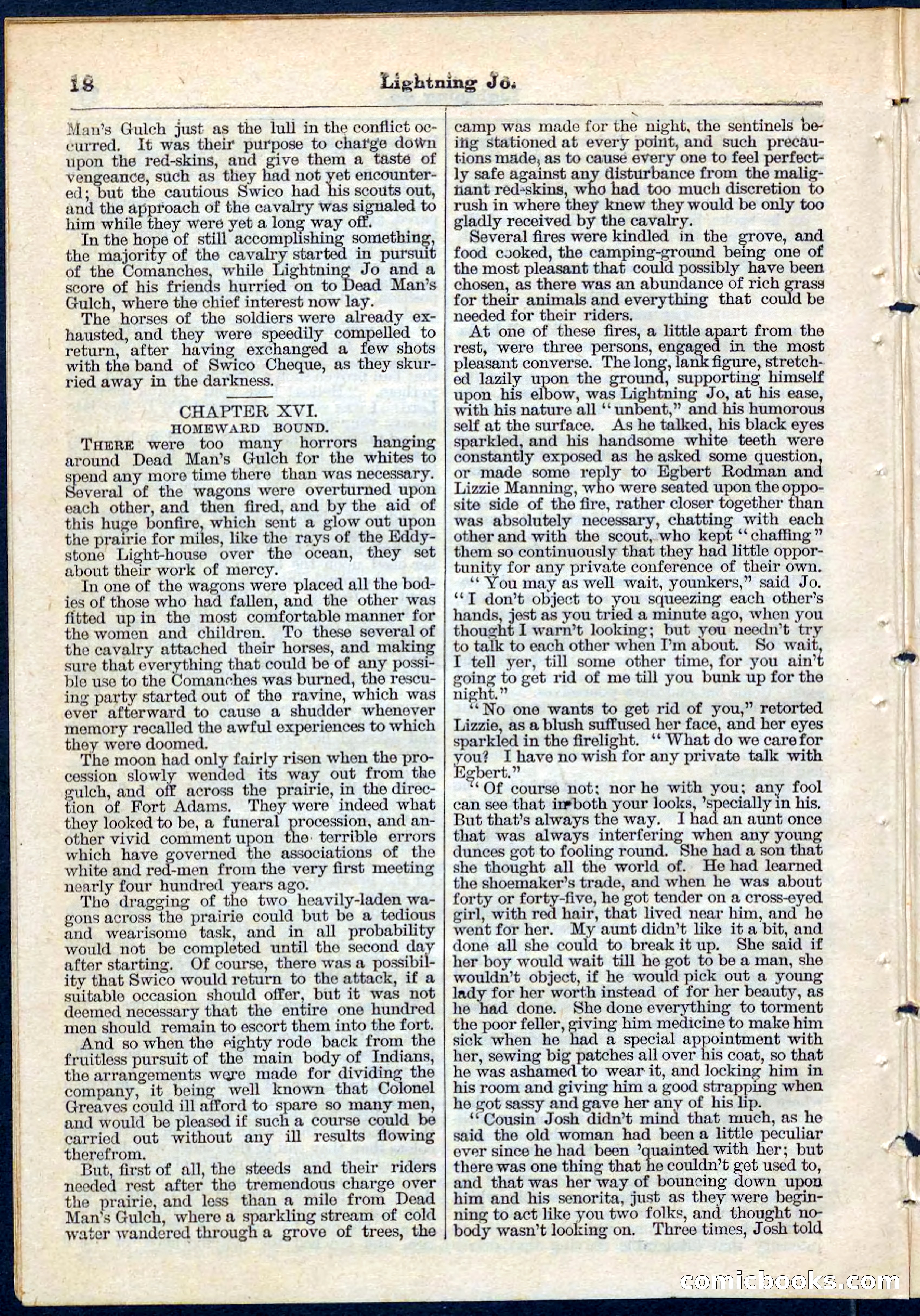 Beadle's Pocket Library No. 65 — page 18 of 32