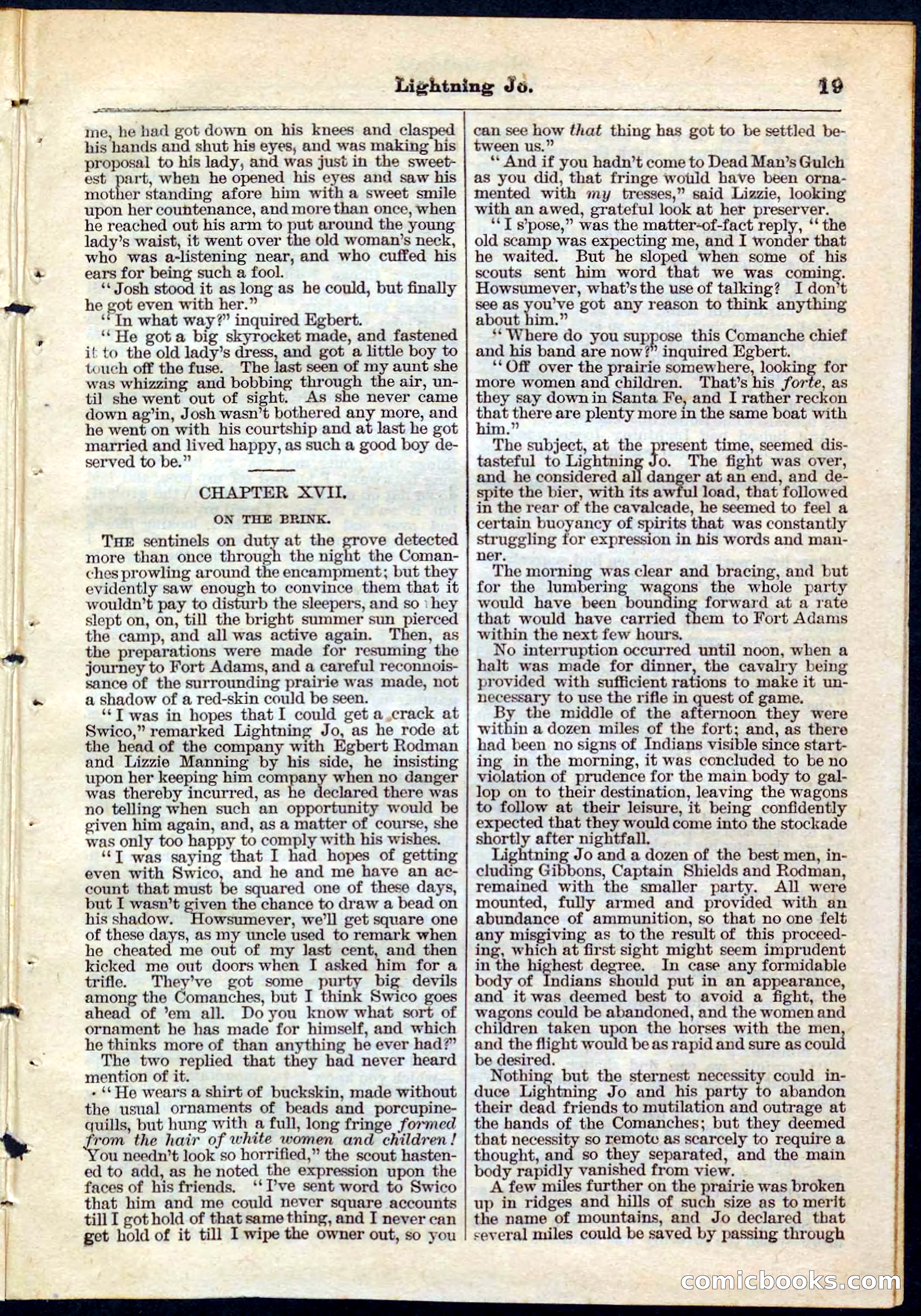 Beadle's Pocket Library No. 65 — page 19 of 32