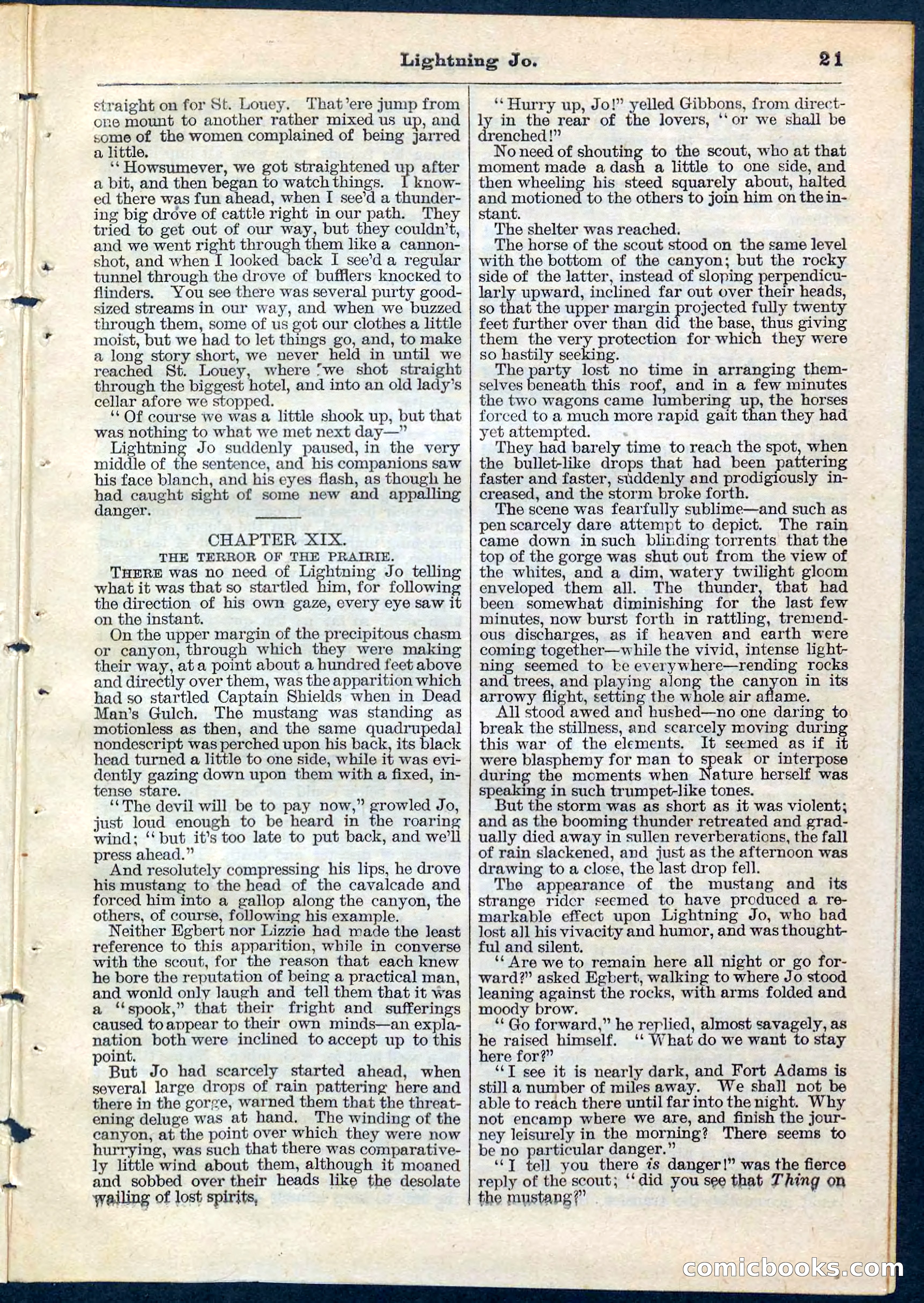 Beadle's Pocket Library No. 65 — page 21 of 32