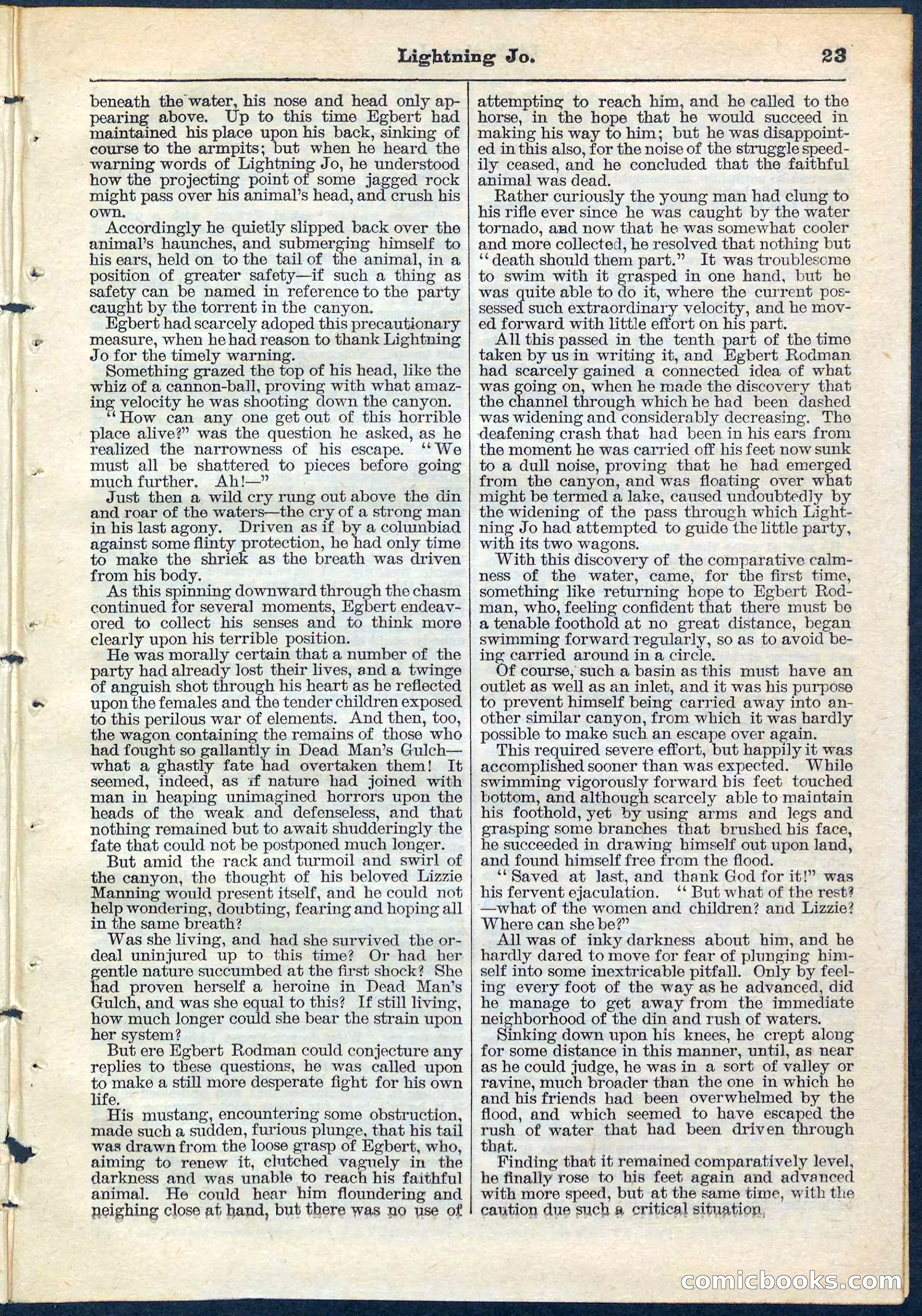 Beadle's Pocket Library No. 65 — page 23 of 32