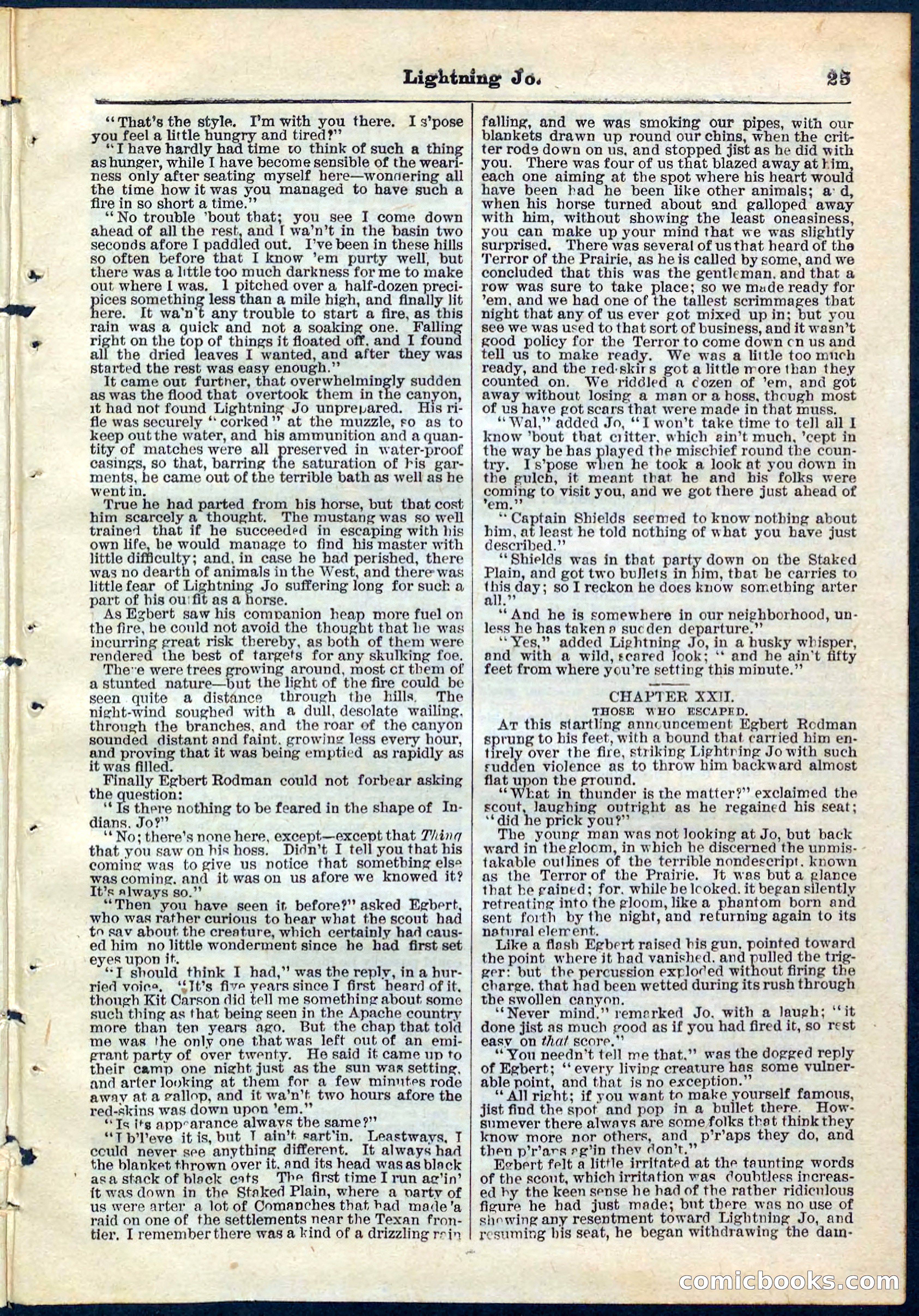 Beadle's Pocket Library No. 65 — page 25 of 32