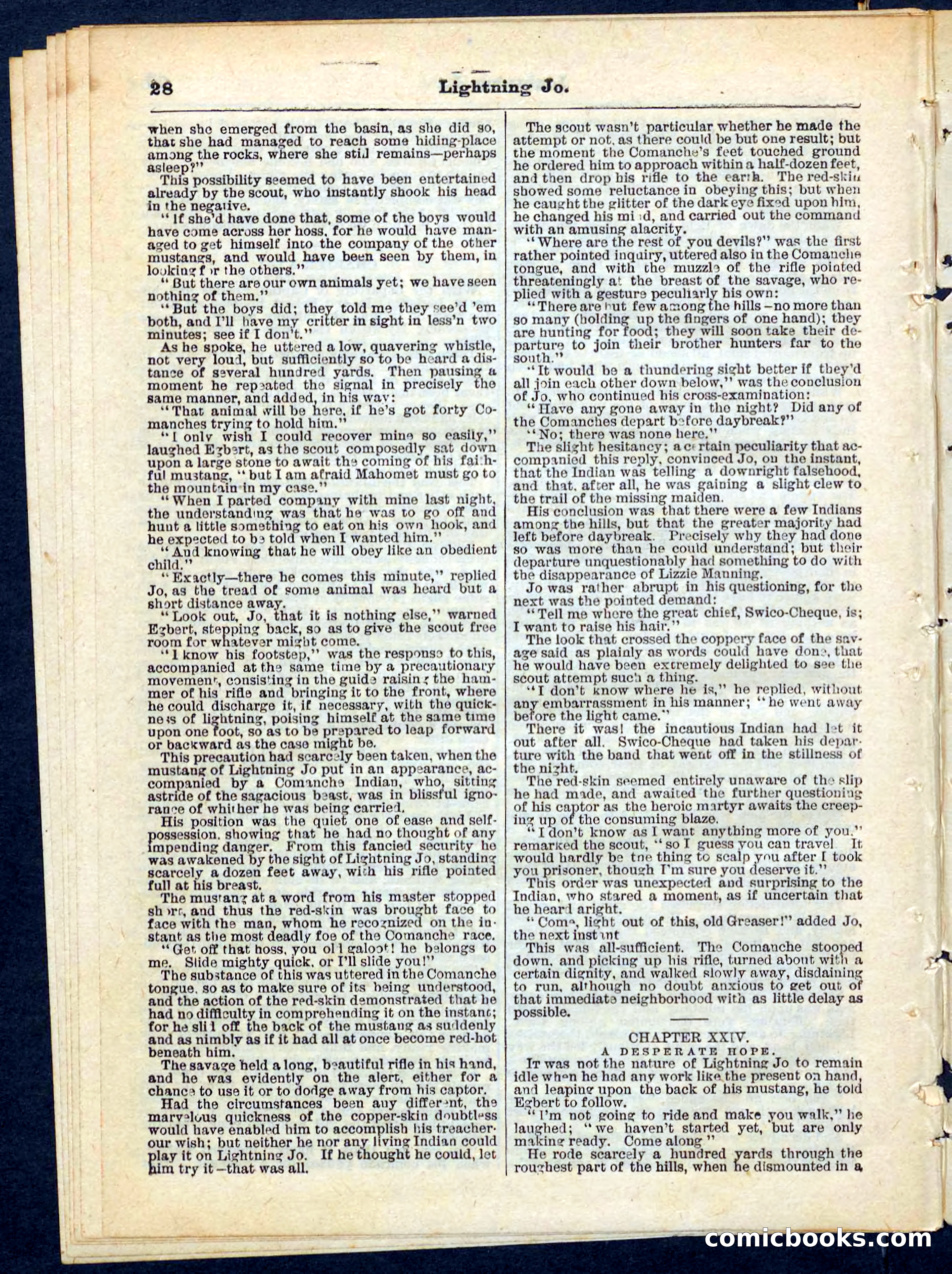 Beadle's Pocket Library No. 65 — page 28 of 32